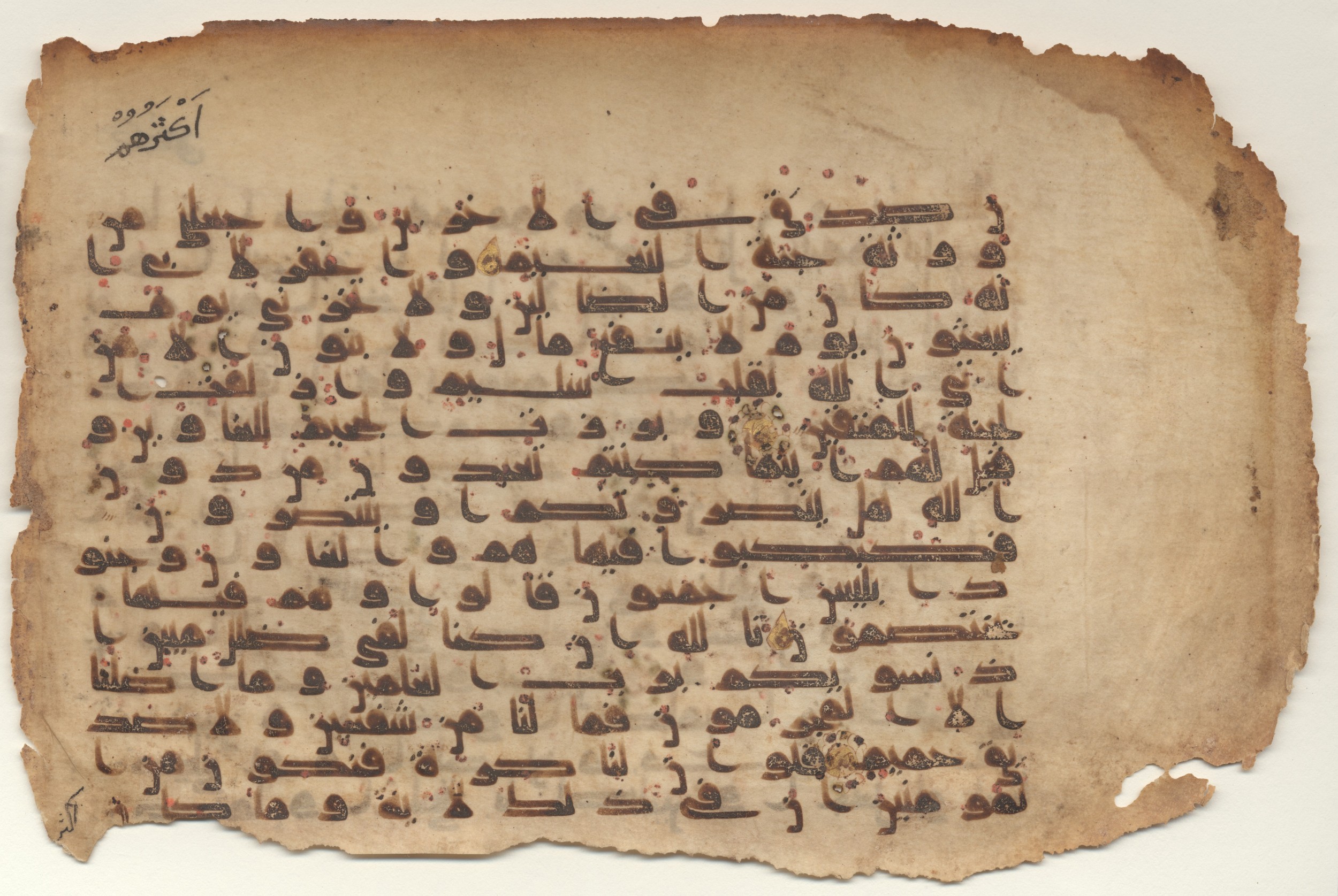 MS Brunensis-Birminghamiensis (BrB), in kūfī D.IV script, showing Surah 26:97 from 9th Century AD found in Middle East, currently housed at Brown University Library, Providence, Rhode Island
