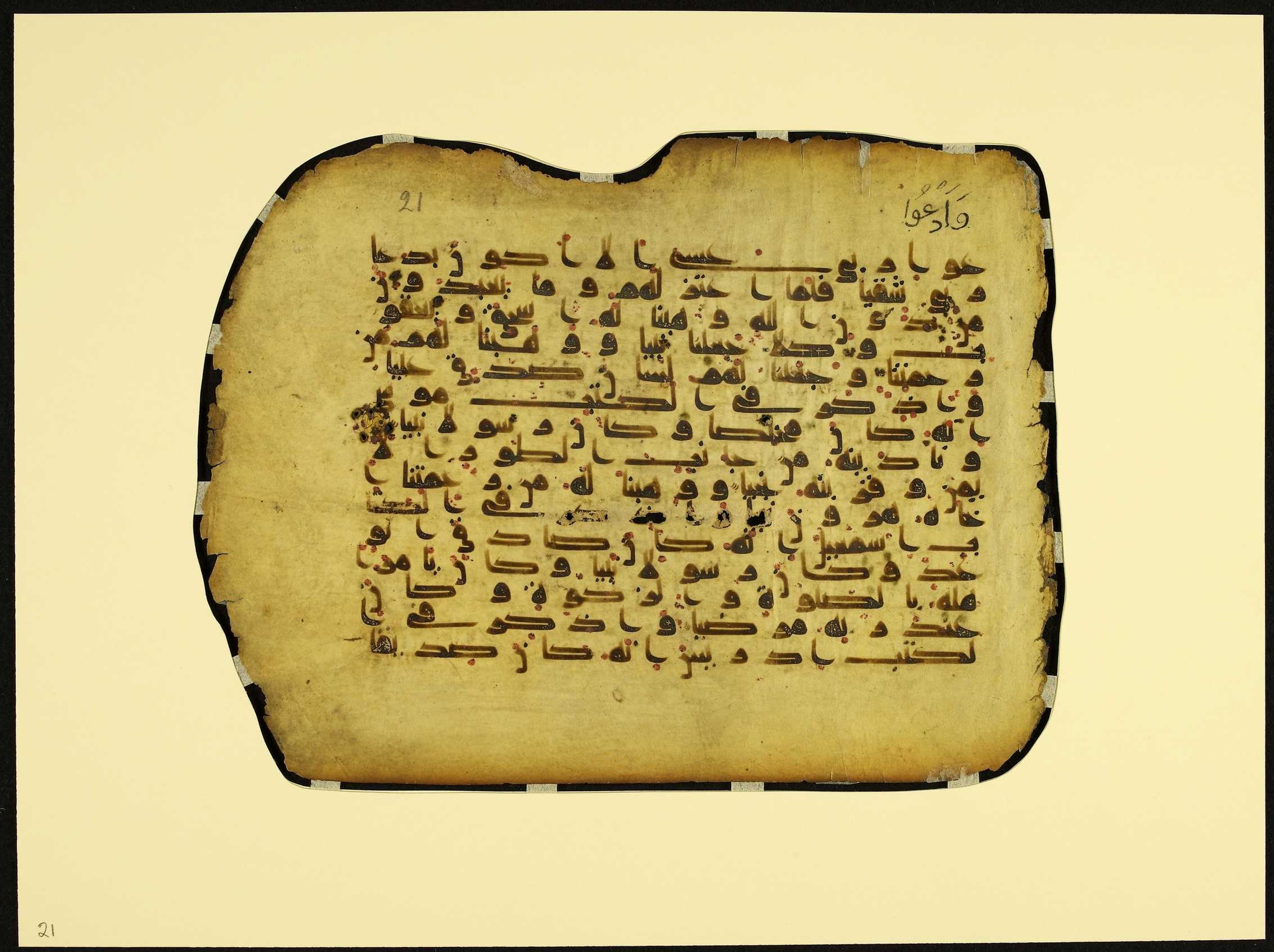 MS Brunensis-Birminghamiensis (BrB), in kūfī D.IV script, showing Surah 19:49 from 9th Century AD found in Middle East, currently housed at Brown University Library, Providence, Rhode Island