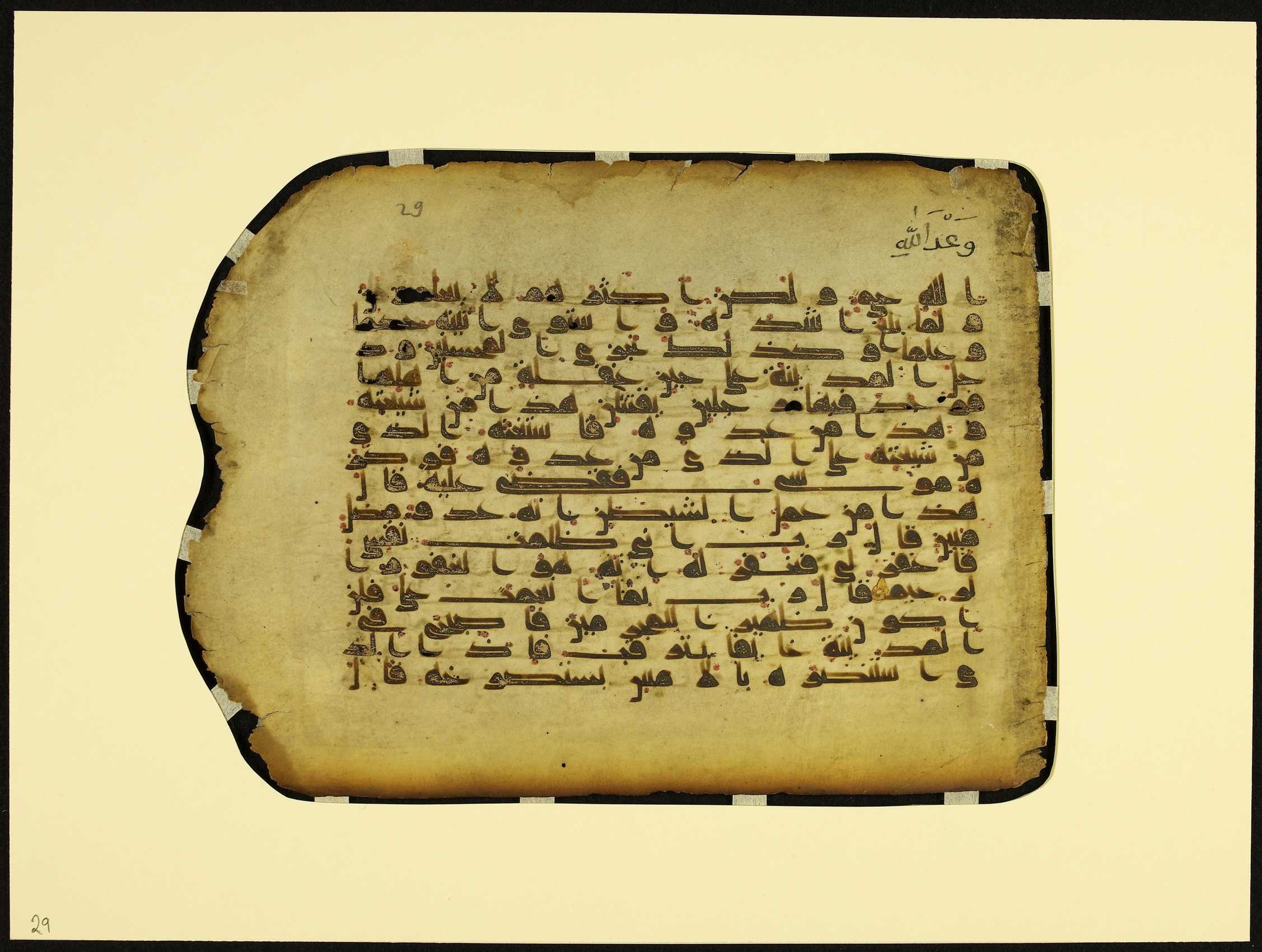 MS Brunensis-Birminghamiensis (BrB), in kūfī D.IV script, showing Surah 28:16 from 9th Century AD found in Middle East, currently housed at Brown University Library, Providence, Rhode Island