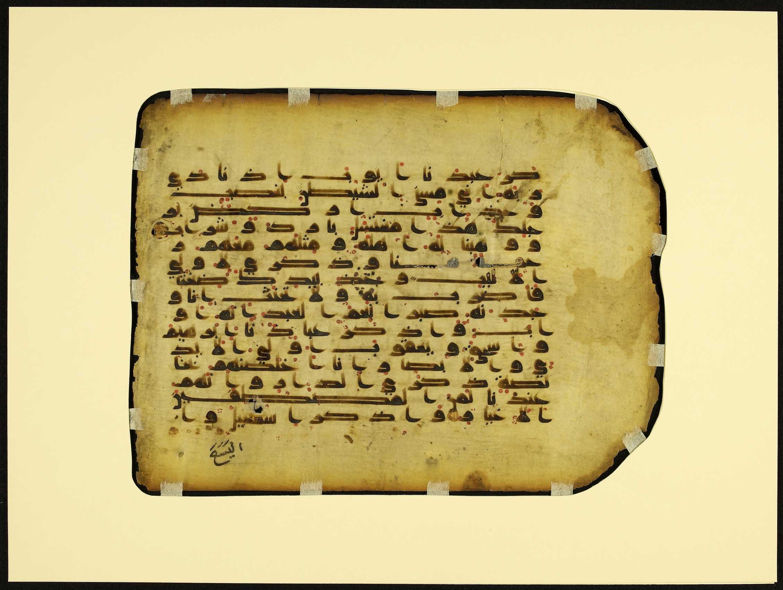 MS Brunensis-Birminghamiensis (BrB) (Scan 2), in kūfī D.IV script, showing Surah 38:41 from 9th Century AD found in Middle East, currently housed at Brown University Library, Providence, Rhode Island