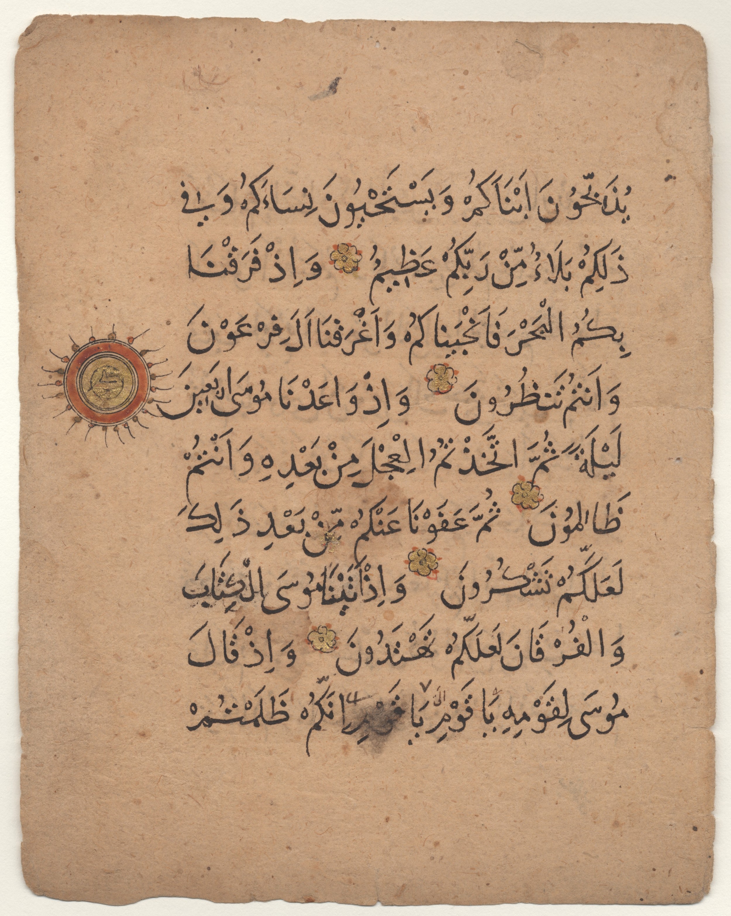 Brown University Library 6213 (Scan 1), in ṯuluṯ script, showing Surah 2:49 from 12th to 15th Century AD found in Unknown, currently housed at Brown University Library, Providence, Rhode Island