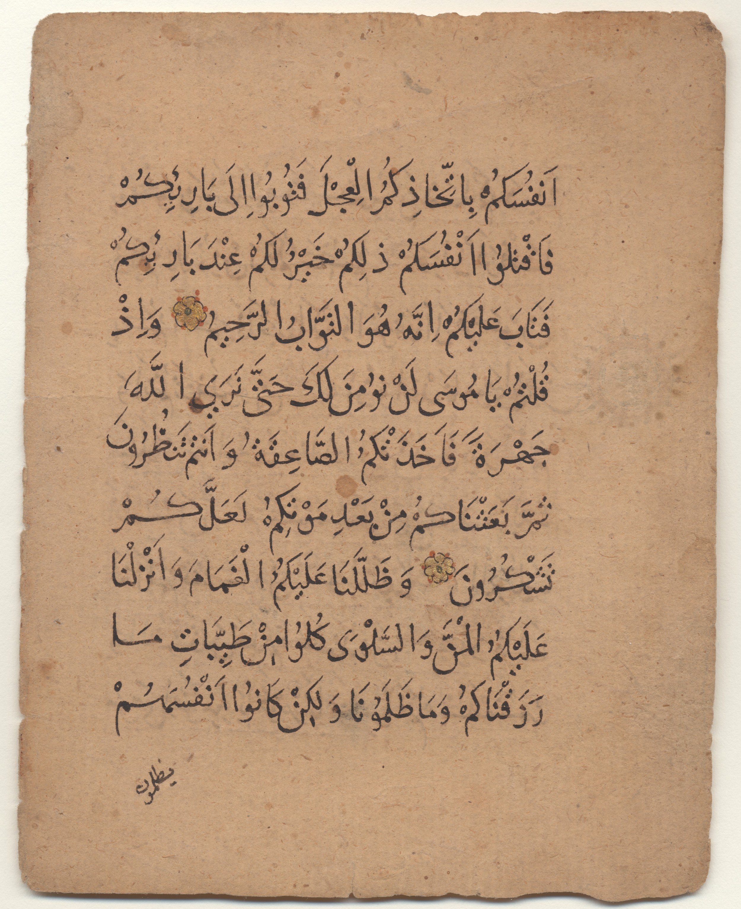 Brown University Library 6213, in ṯuluṯ script, showing Surah 2:56 from 12th to 15th Century AD found in Unknown, currently housed at Brown University Library, Providence, Rhode Island