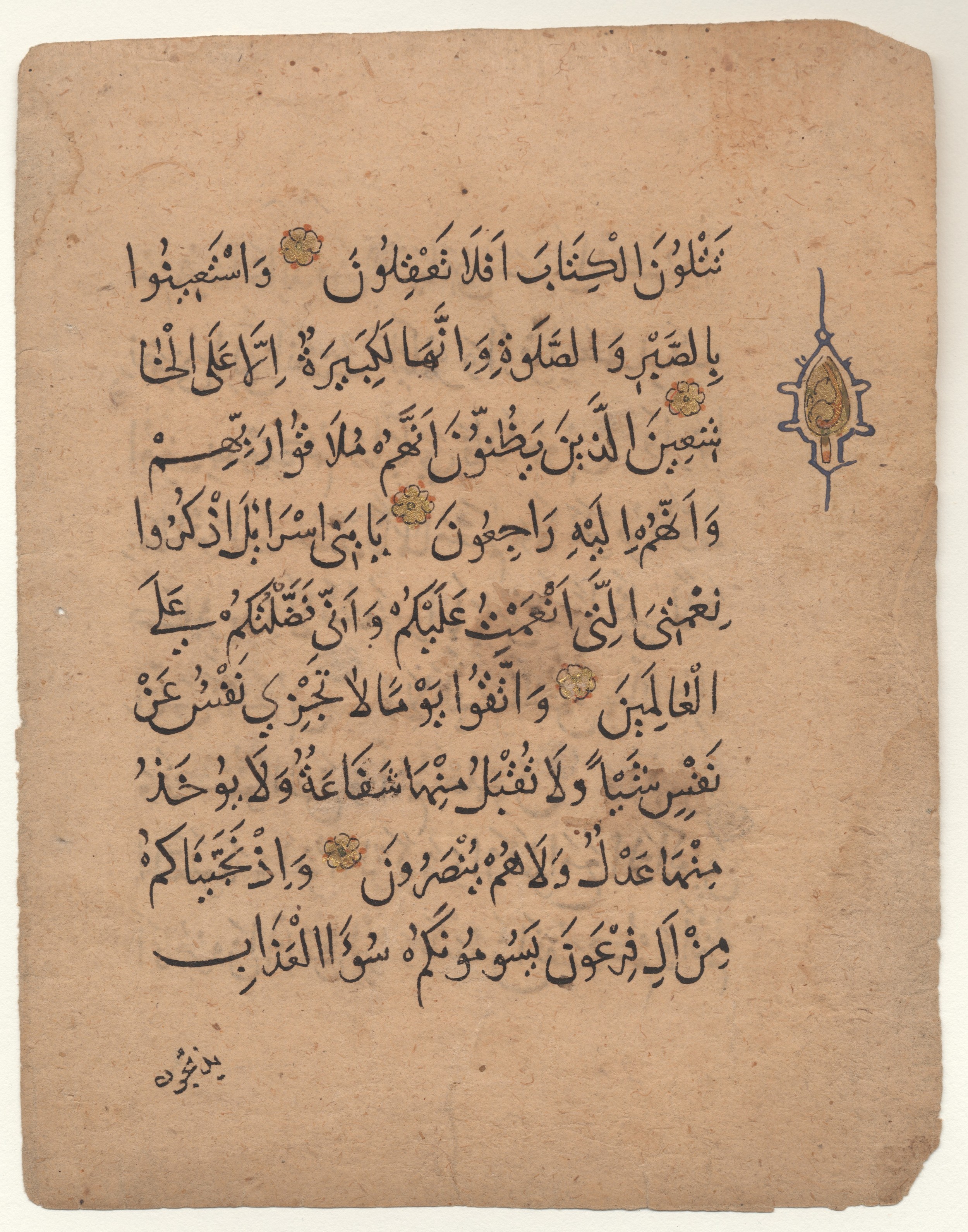Brown University Library 6213 (Scan 2), in ṯuluṯ script, showing Surah 2:49 from 12th to 15th Century AD found in Unknown, currently housed at Brown University Library, Providence, Rhode Island
