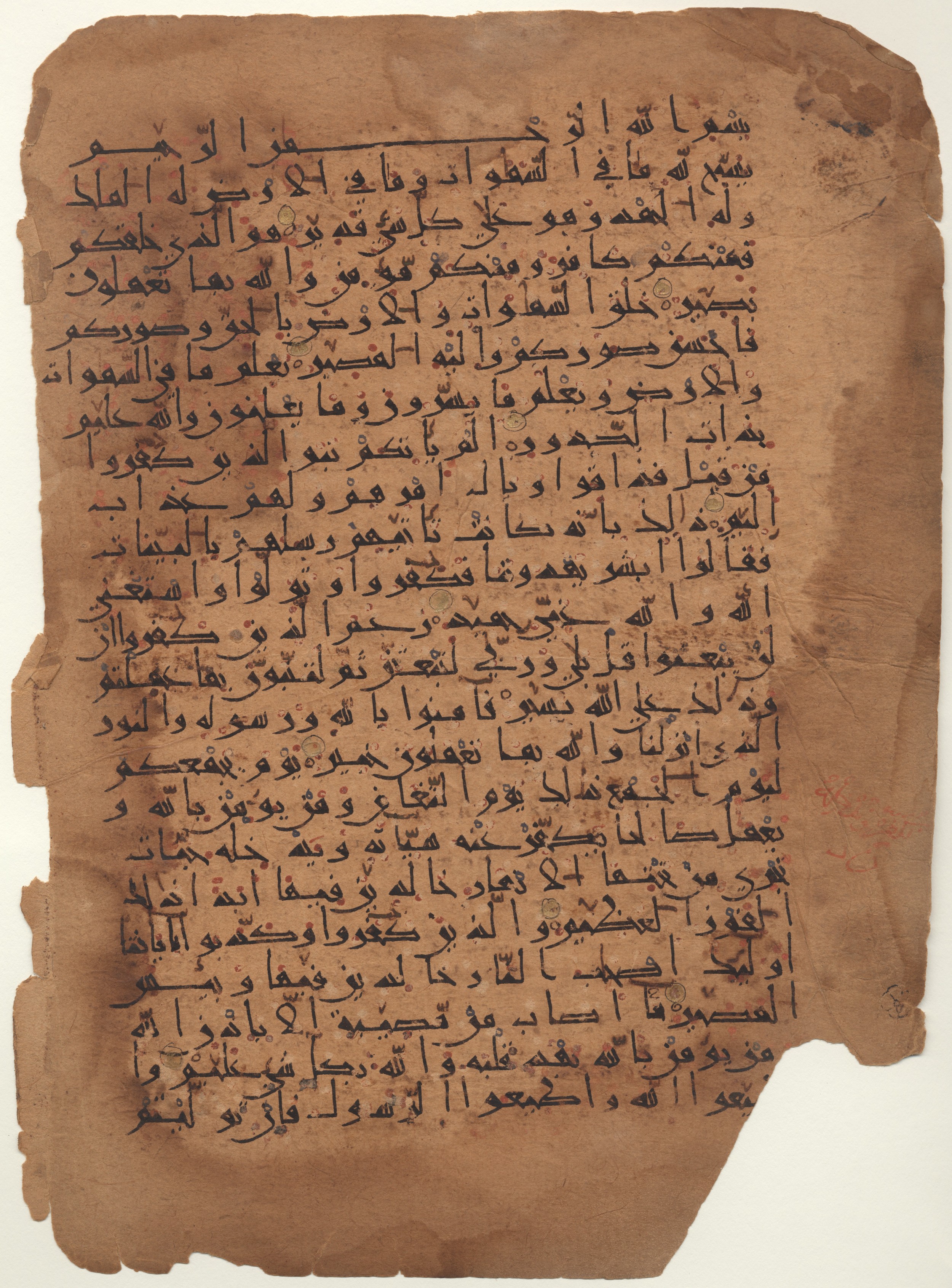 Brown University Library, 6682, in New Style I script, showing Surah 64:2 from 10th to 11th Century AD found in Unknown, currently housed at Brown University Library, Providence, Rhode Island