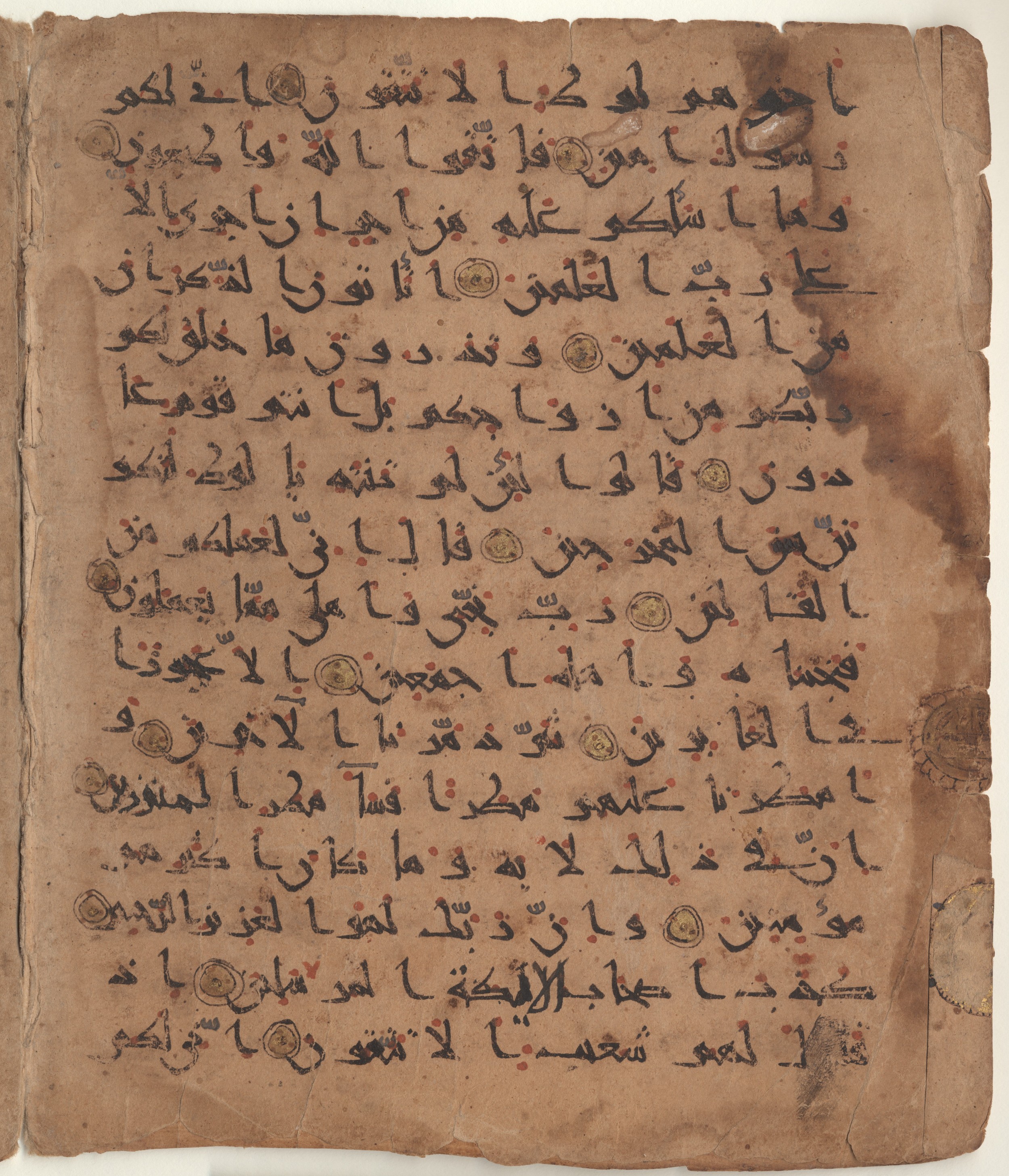 Providence, Rhode Island, Brown University Library, 6648, in combination of new style I and III script, showing Surah 26:175 from Unknown found in Unknown, currently housed at Brown University Library, Providence, Rhode Island
