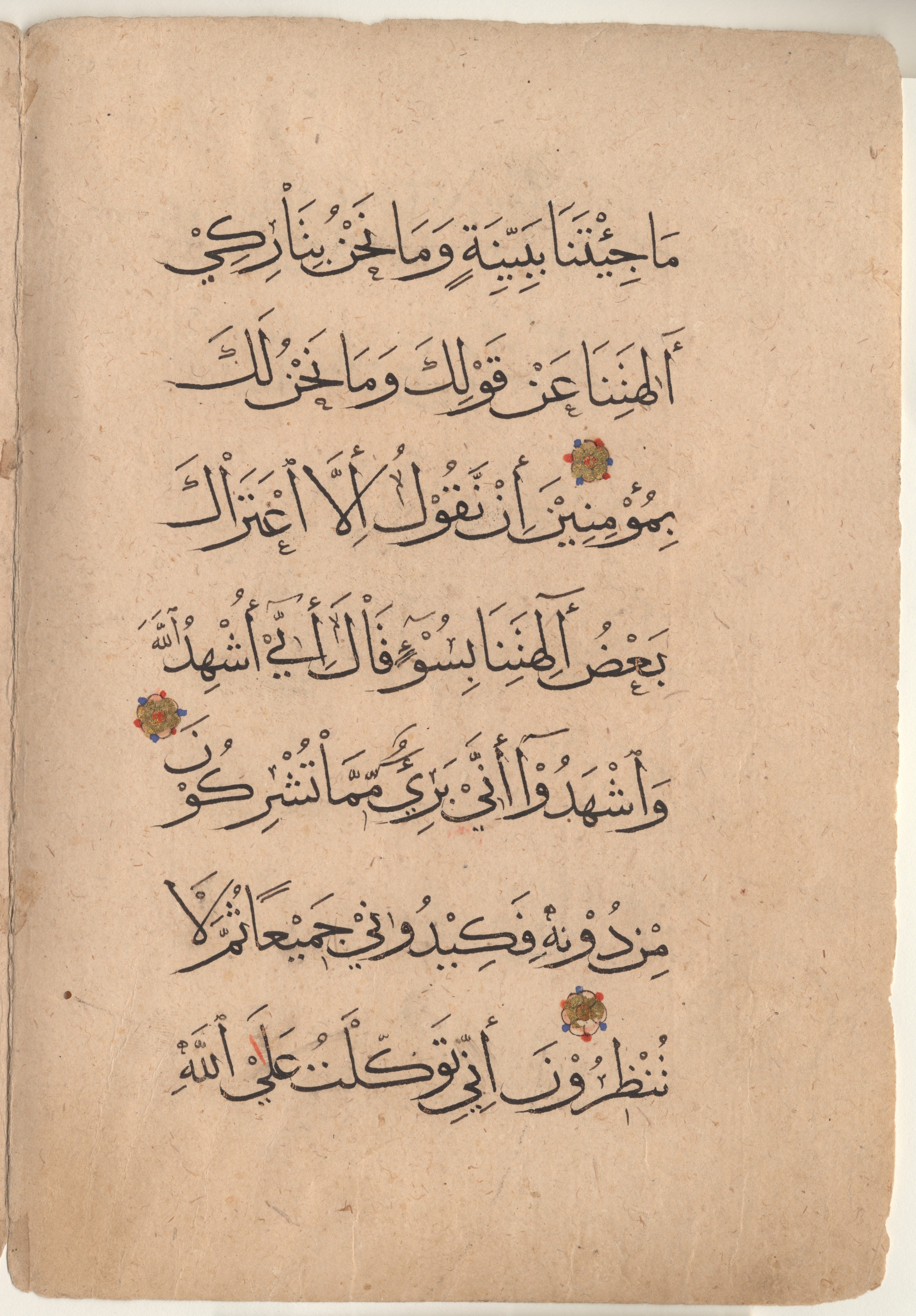 Brown University Library, 6383, in muḥaqqaq script, showing Surah 11:56 from 14th to 15th Century AD found in Unknown, currently housed at Brown University Library, Providence, Rhode Island