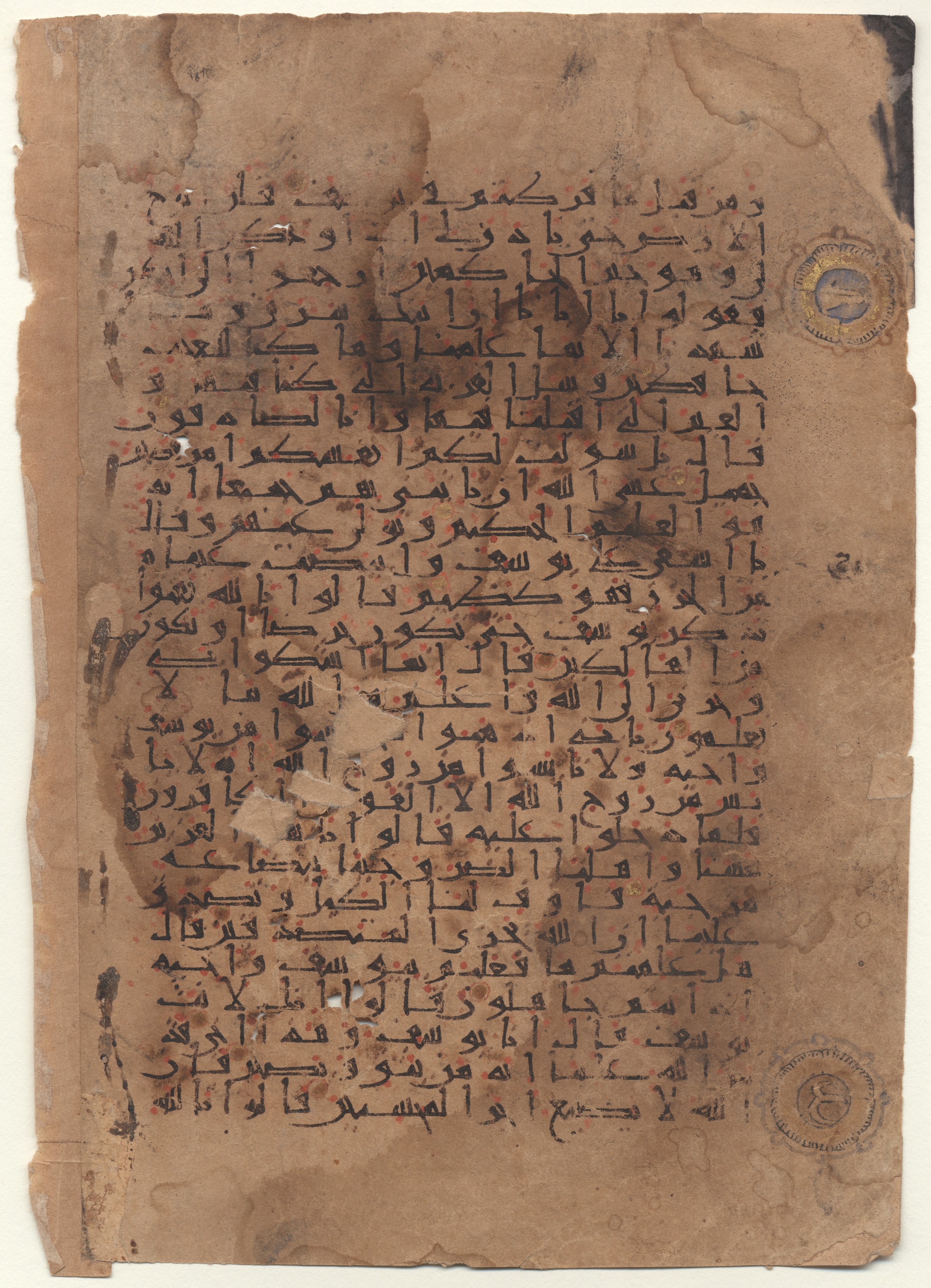 Brown University Library 6667, in New Style I script, showing Surah 12:83 from 9th to 10th Century AD found in Unknown, currently housed at Brown University Library, Providence, Rhode Island