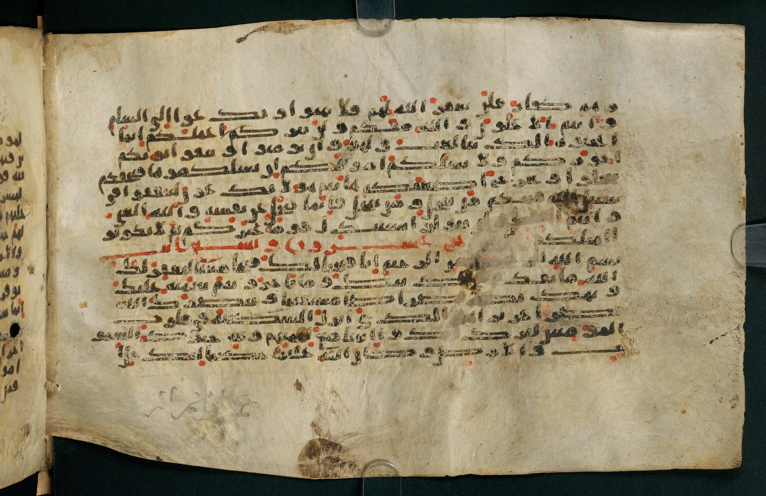 Tübingen, Universitätsbibliothek Tübingen, Ma VI 155, in kūfī E.I script, showing Surah 48:3 from 8th Century AD found in Damascus, currently housed at Universitätsbibliothek Tübingen, Tübingen, Germany