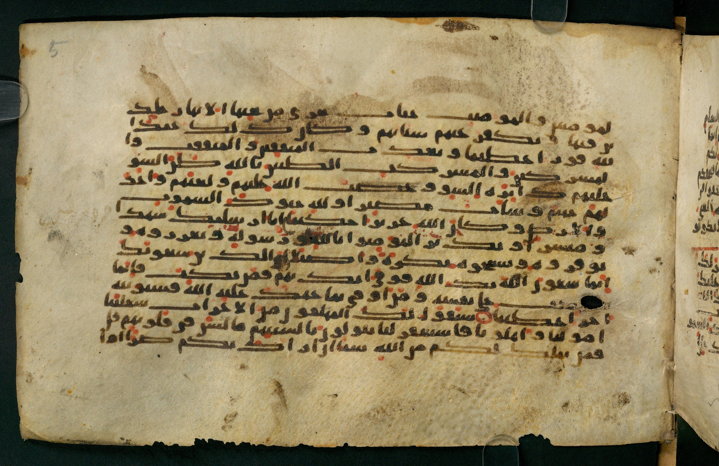 Tübingen, Universitätsbibliothek Tübingen, Ma VI 155, in kūfī E.I script, showing Surah 48:7 from 8th Century AD found in Damascus, currently housed at Universitätsbibliothek Tübingen, Tübingen, Germany