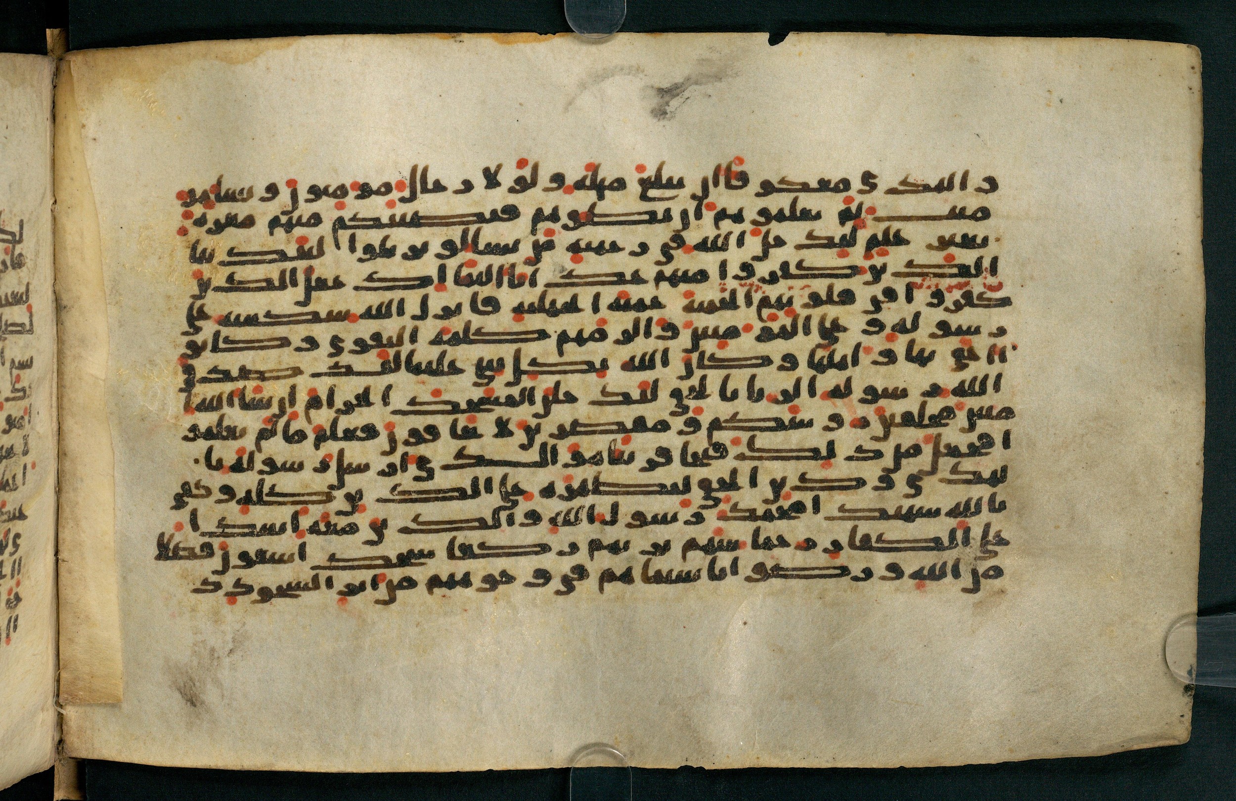 Tübingen, Universitätsbibliothek Tübingen, Ma VI 155, in kūfī E.I script, showing Surah 48:28 from 8th Century AD found in Damascus, currently housed at Universitätsbibliothek Tübingen, Tübingen, Germany