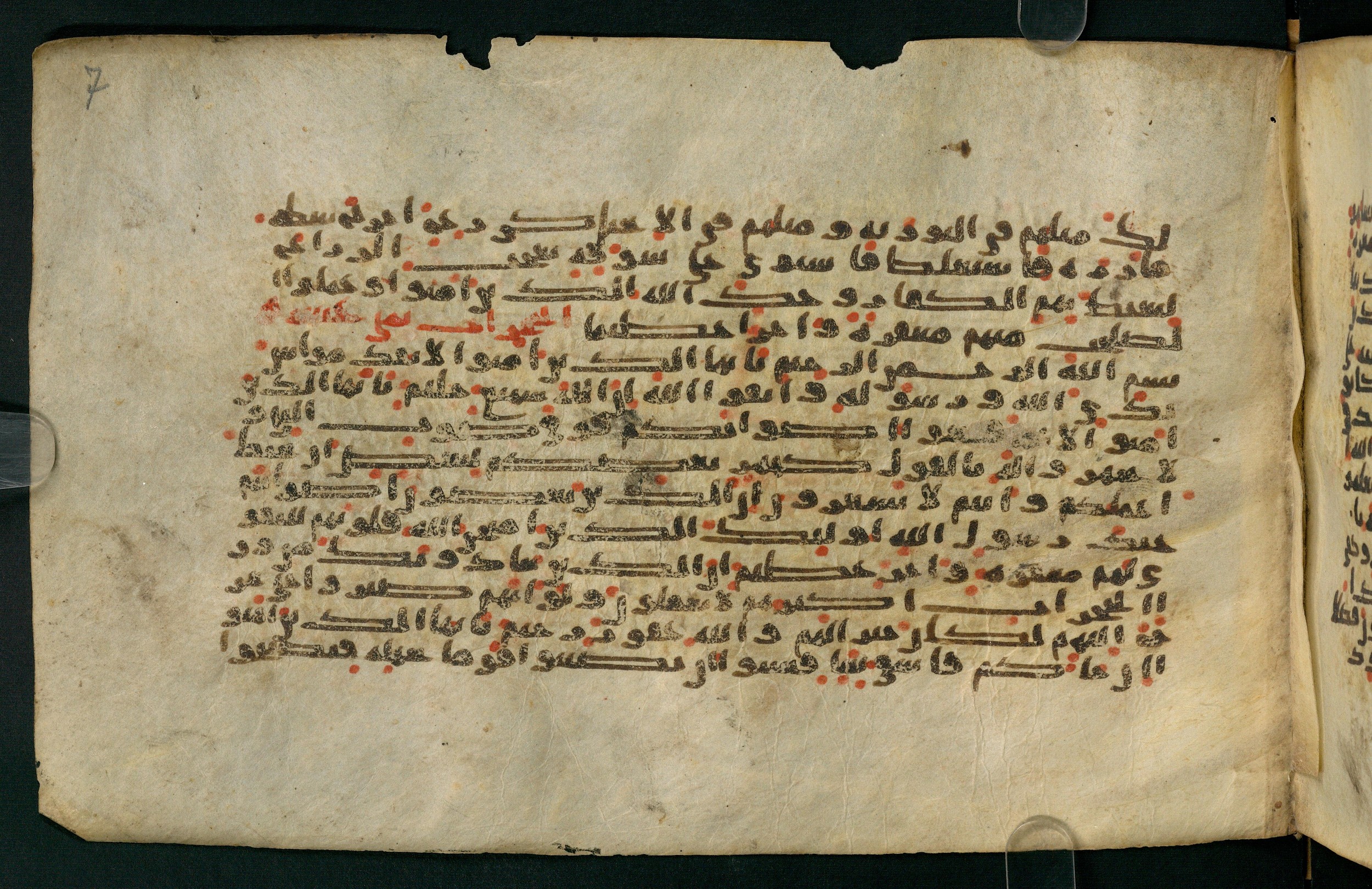 Tübingen, Universitätsbibliothek Tübingen, Ma VI 155, in kūfī E.I script, showing Surah 49:2 from 8th Century AD found in Damascus, currently housed at Universitätsbibliothek Tübingen, Tübingen, Germany