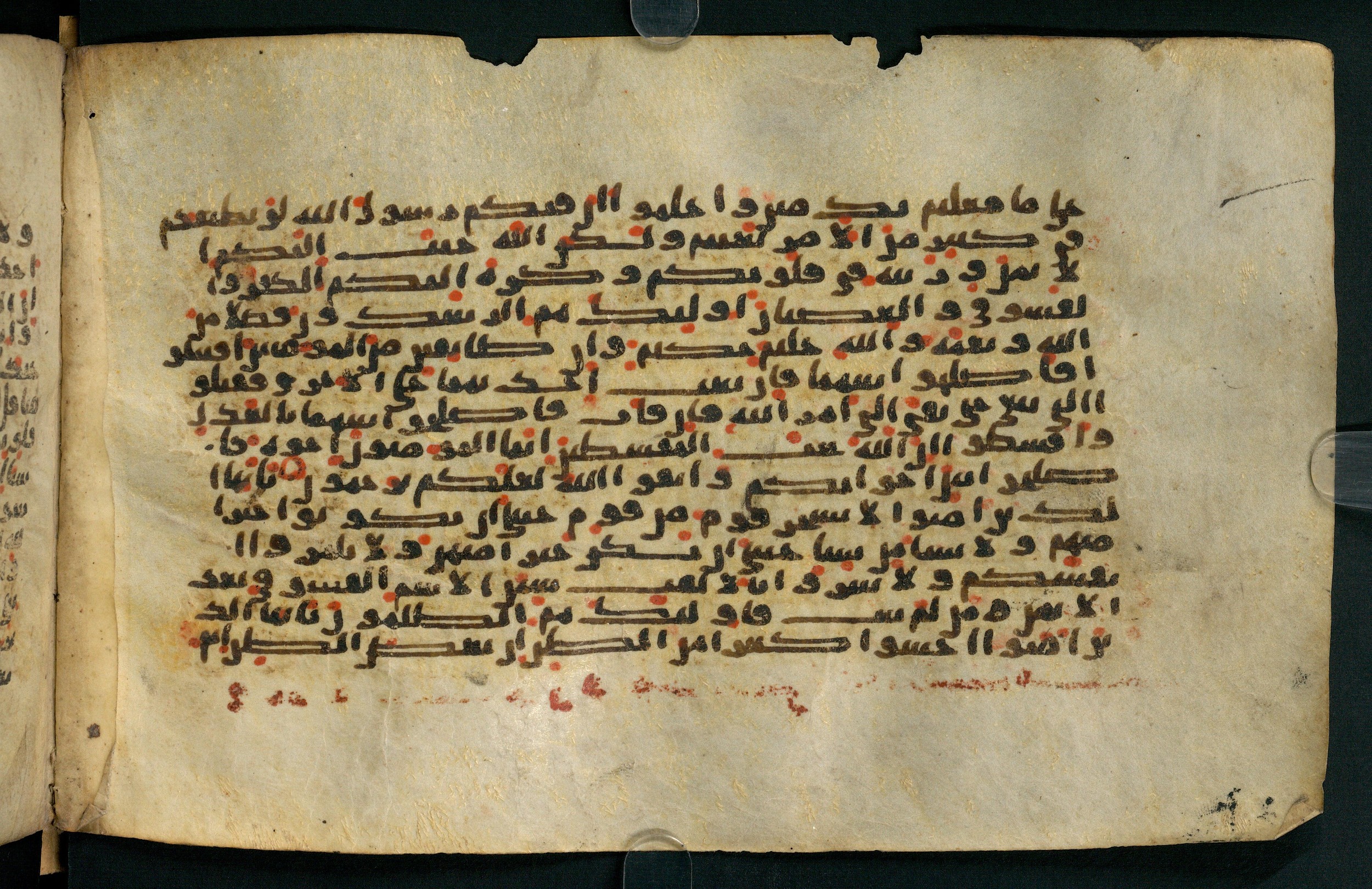 Tübingen, Universitätsbibliothek Tübingen, Ma VI 155, in kūfī E.I script, showing Surah 49:7 from 8th Century AD found in Damascus, currently housed at Universitätsbibliothek Tübingen, Tübingen, Germany