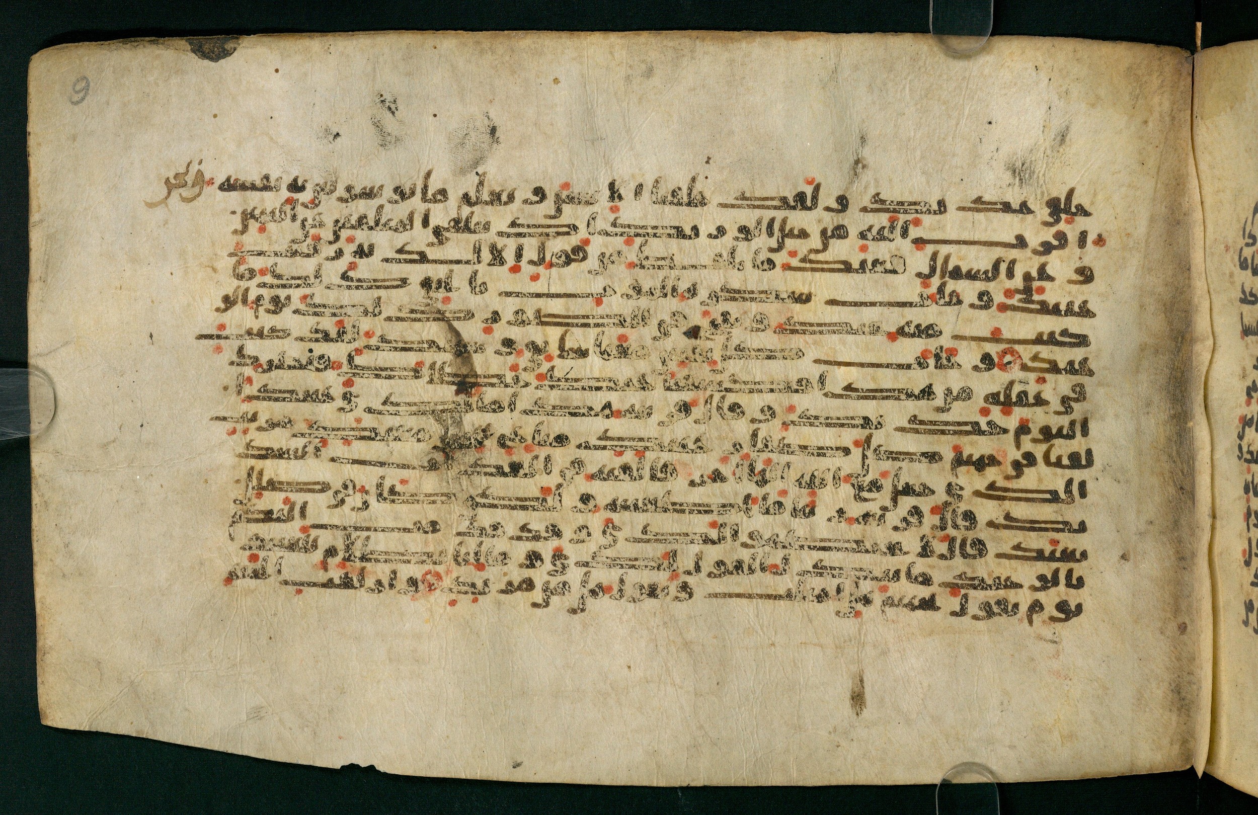 Tübingen, Universitätsbibliothek Tübingen, Ma VI 155, in kūfī E.I script, showing Surah 50:21 from 8th Century AD found in Damascus, currently housed at Universitätsbibliothek Tübingen, Tübingen, Germany