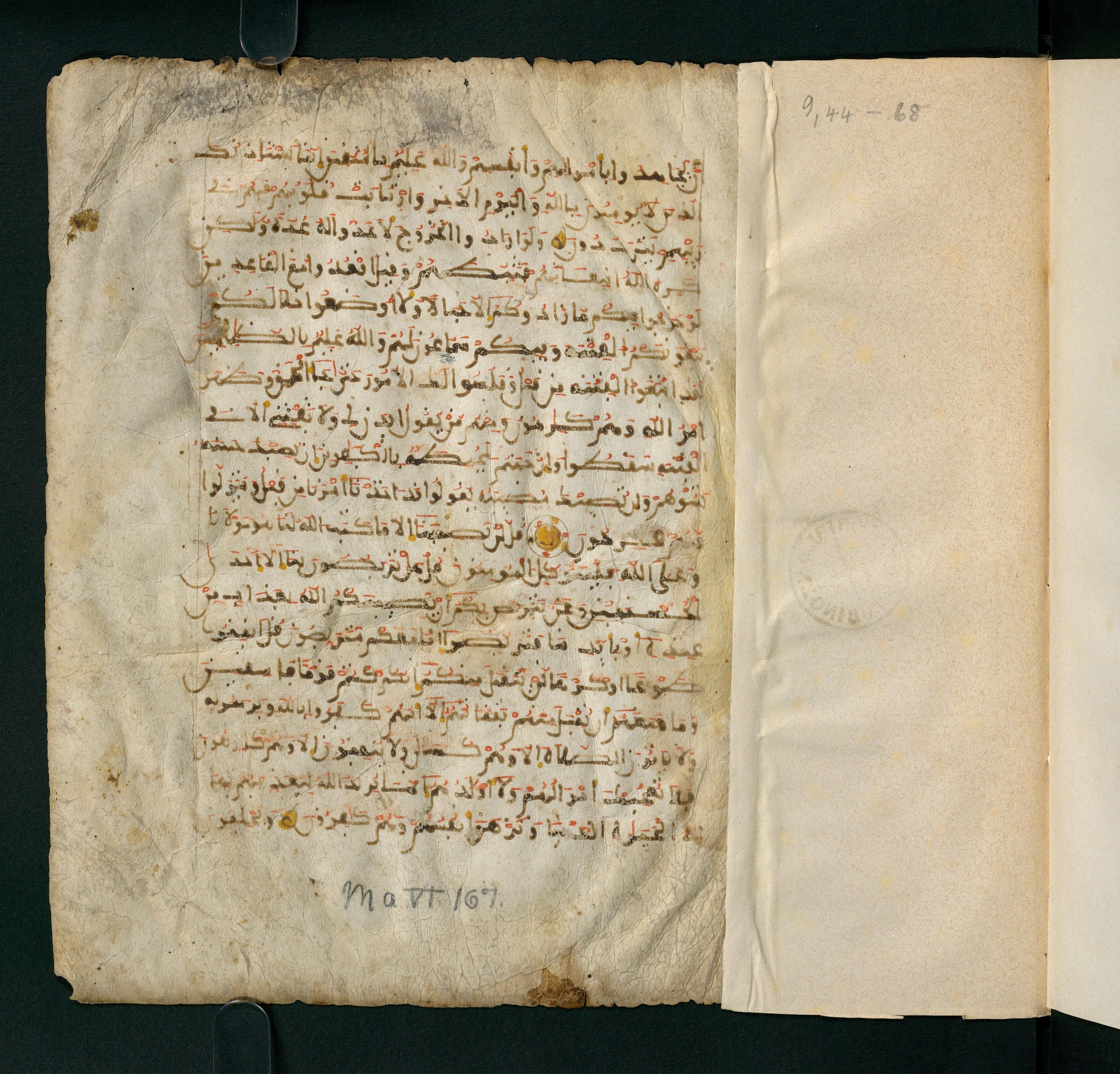 Universitätsbibliothek Tübingen, Ma VI 167, in maġribī script, showing Surah 9:49 from Unknown found in Unknown, currently housed at Universitätsbibliothek Tübingen, Tübingen, Germany