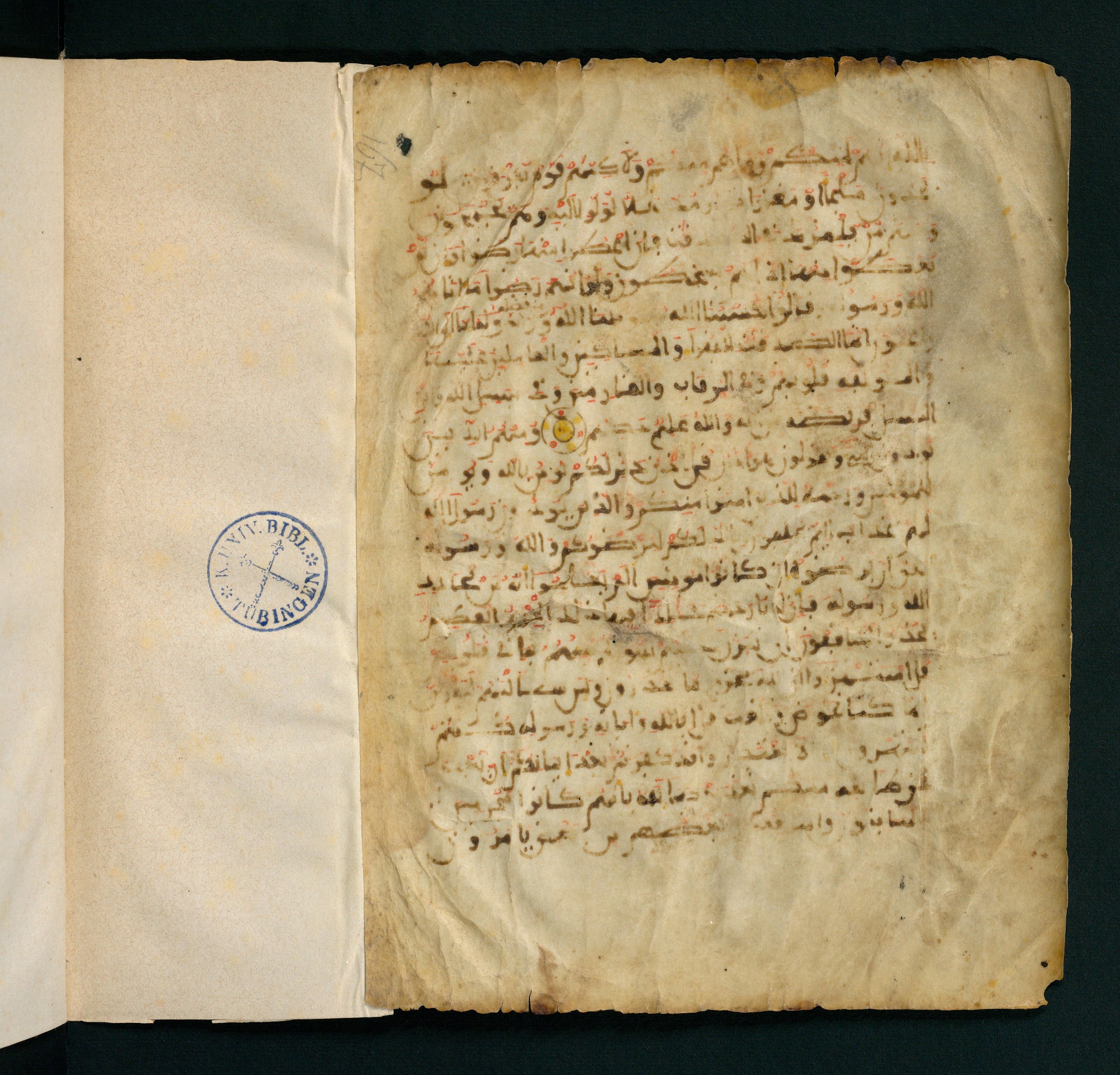 Universitätsbibliothek Tübingen, Ma VI 167, in maġribī script, showing Surah 9:67 from Unknown found in Unknown, currently housed at Universitätsbibliothek Tübingen, Tübingen, Germany