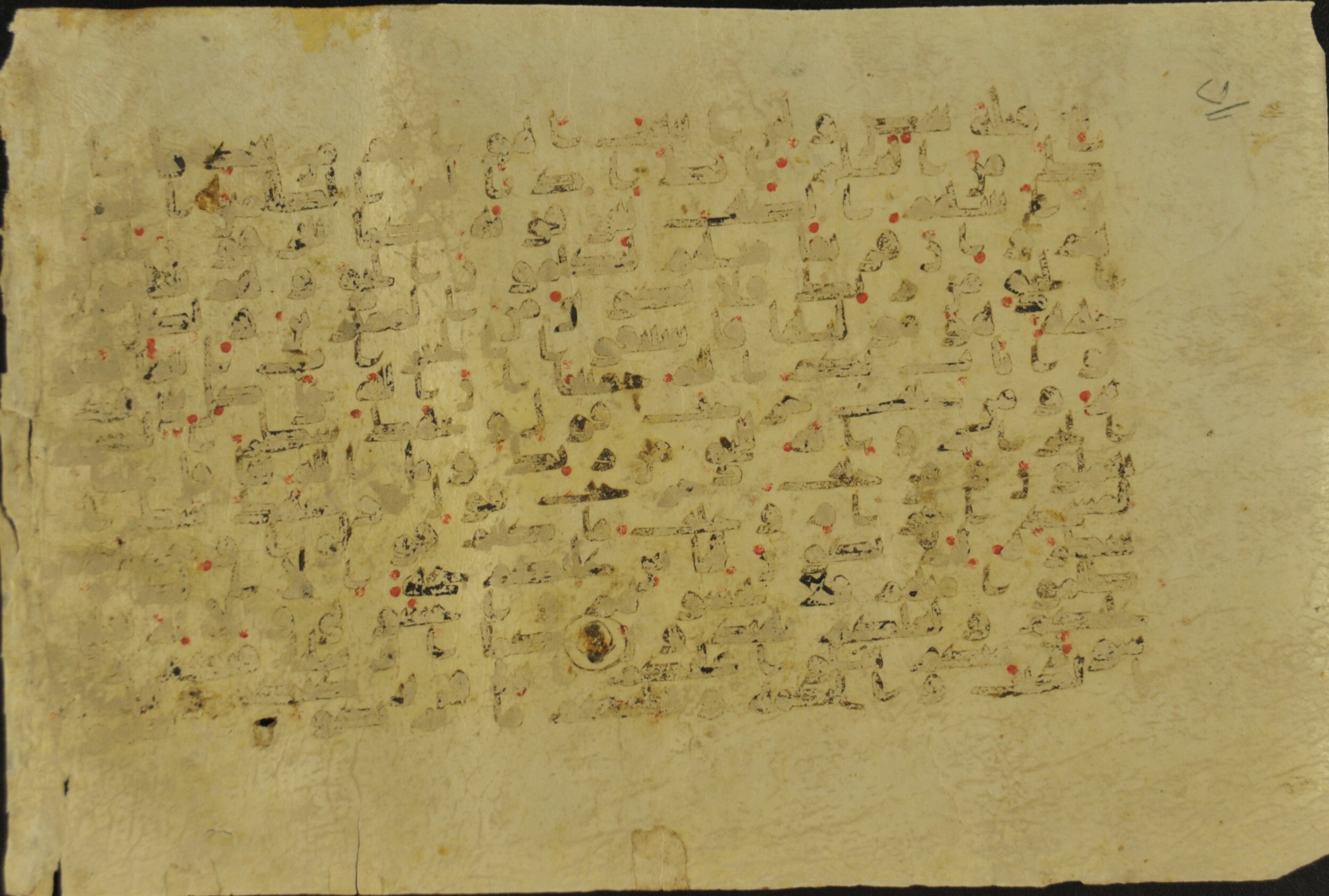 Muṣḥaf of Najaf Ashraf (Codex 1 of Imām ʿAlī Library) (Scan 1), in kūfī B.II, D.IV, and post-classical kūfī script, showing Surah 2:151 from Mid 7th to Mid 9th Century AD found in Unknown, currently housed at Imām ʿAlī Library (المكتبة الروضة الحيدرية), Najaf, Iraq