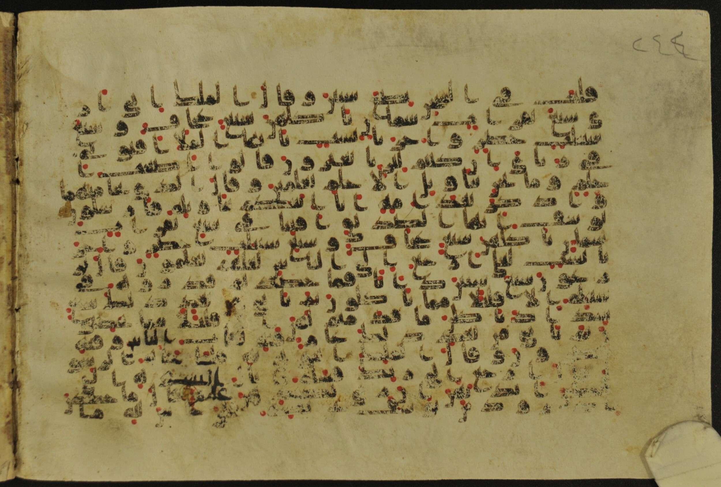 Muṣḥaf of Najaf Ashraf (Codex 1 of Imām ʿAlī Library), in kūfī B.II, D.IV, and post-classical kūfī script, showing Surah 12:49 from Mid 7th to Mid 9th Century AD found in Unknown, currently housed at Imām ʿAlī Library (المكتبة الروضة الحيدرية), Najaf, Iraq