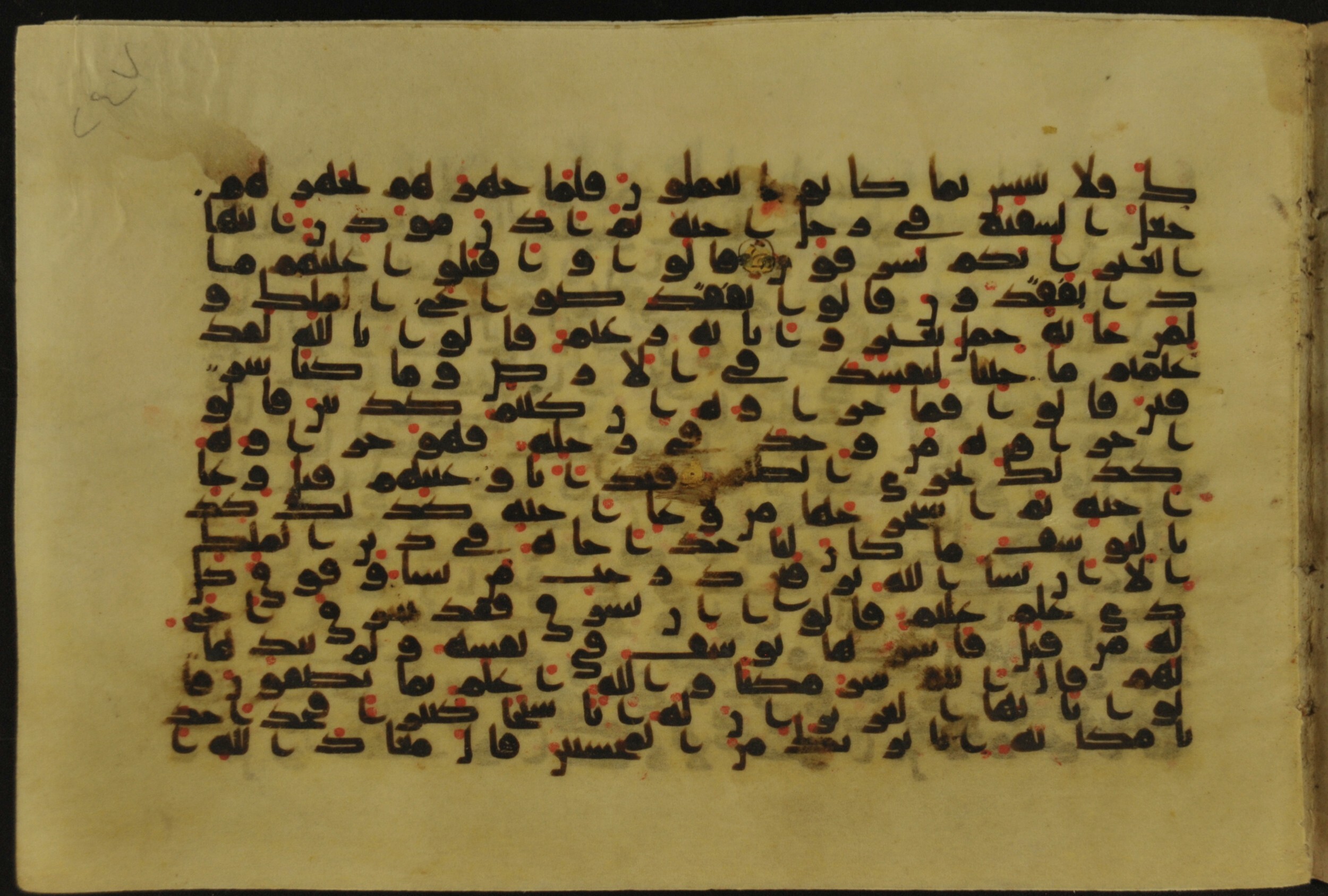 Muṣḥaf of Najaf Ashraf (Codex 1 of Imām ʿAlī Library), in kūfī B.II, D.IV, and post-classical kūfī script, showing Surah 12:71 from Mid 7th to Mid 9th Century AD found in Unknown, currently housed at Imām ʿAlī Library (المكتبة الروضة الحيدرية), Najaf, Iraq