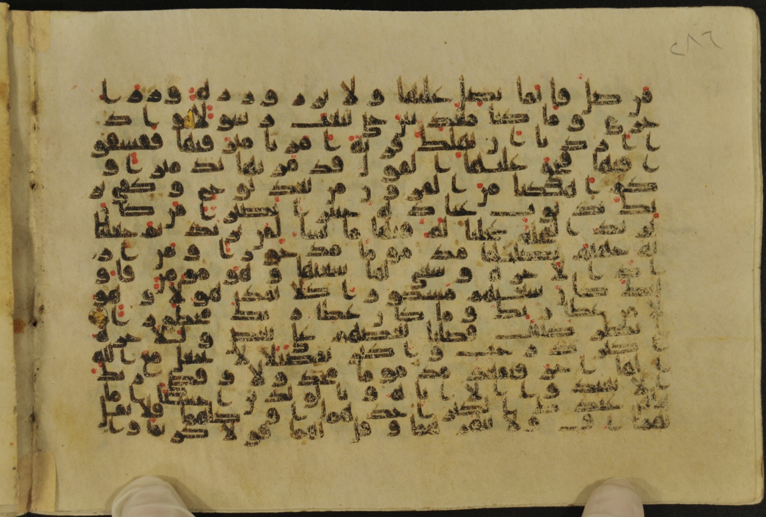 Muṣḥaf of Najaf Ashraf (Codex 1 of Imām ʿAlī Library), in kūfī B.II, D.IV, and post-classical kūfī script, showing Surah 17:21 from Mid 7th to Mid 9th Century AD found in Unknown, currently housed at Imām ʿAlī Library (المكتبة الروضة الحيدرية), Najaf, Iraq