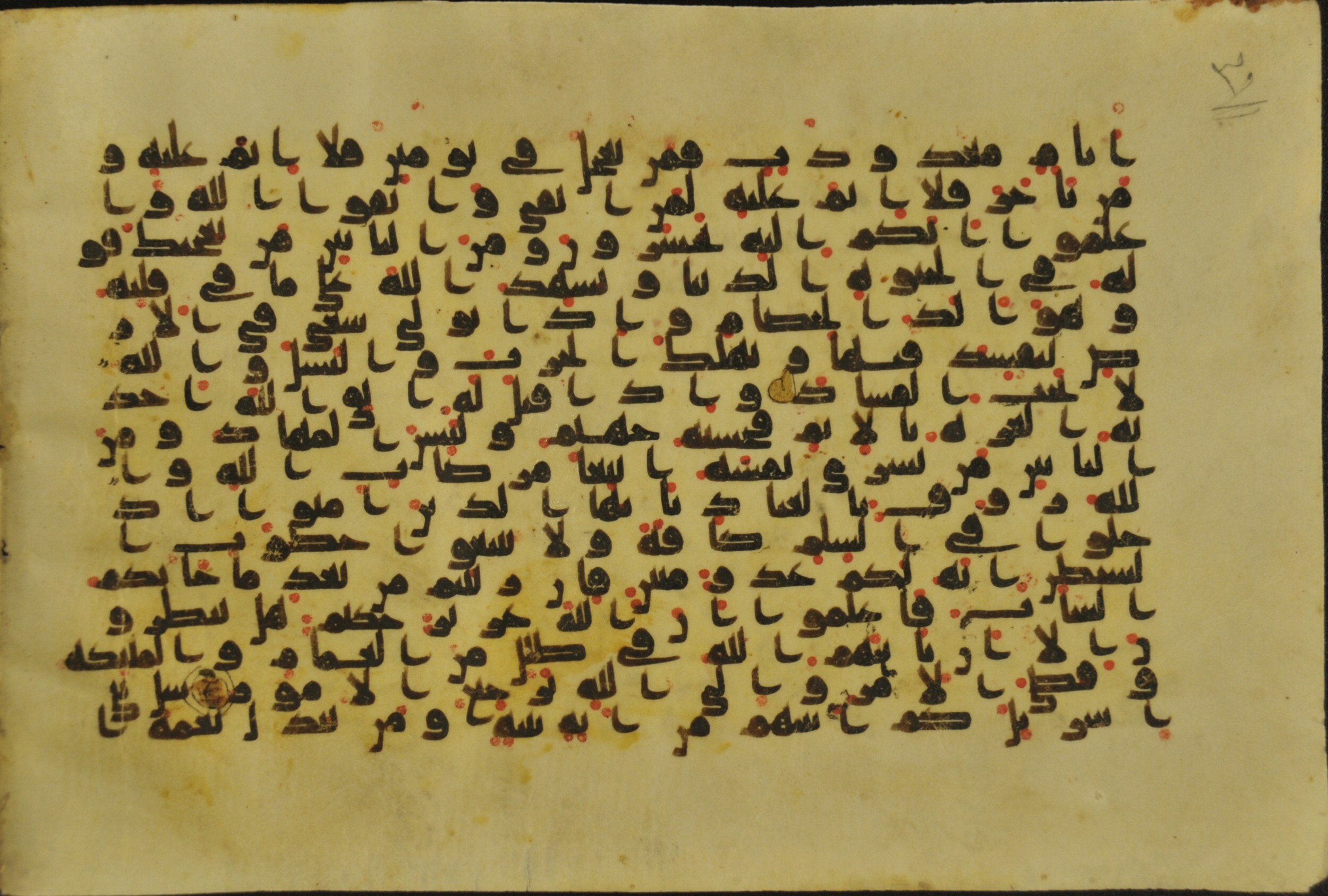 Muṣḥaf of Najaf Ashraf (Codex 1 of Imām ʿAlī Library), in kūfī B.II, D.IV, and post-classical kūfī script, showing Surah 2:205 from Mid 7th to Mid 9th Century AD found in Unknown, currently housed at Imām ʿAlī Library (المكتبة الروضة الحيدرية), Najaf, Iraq