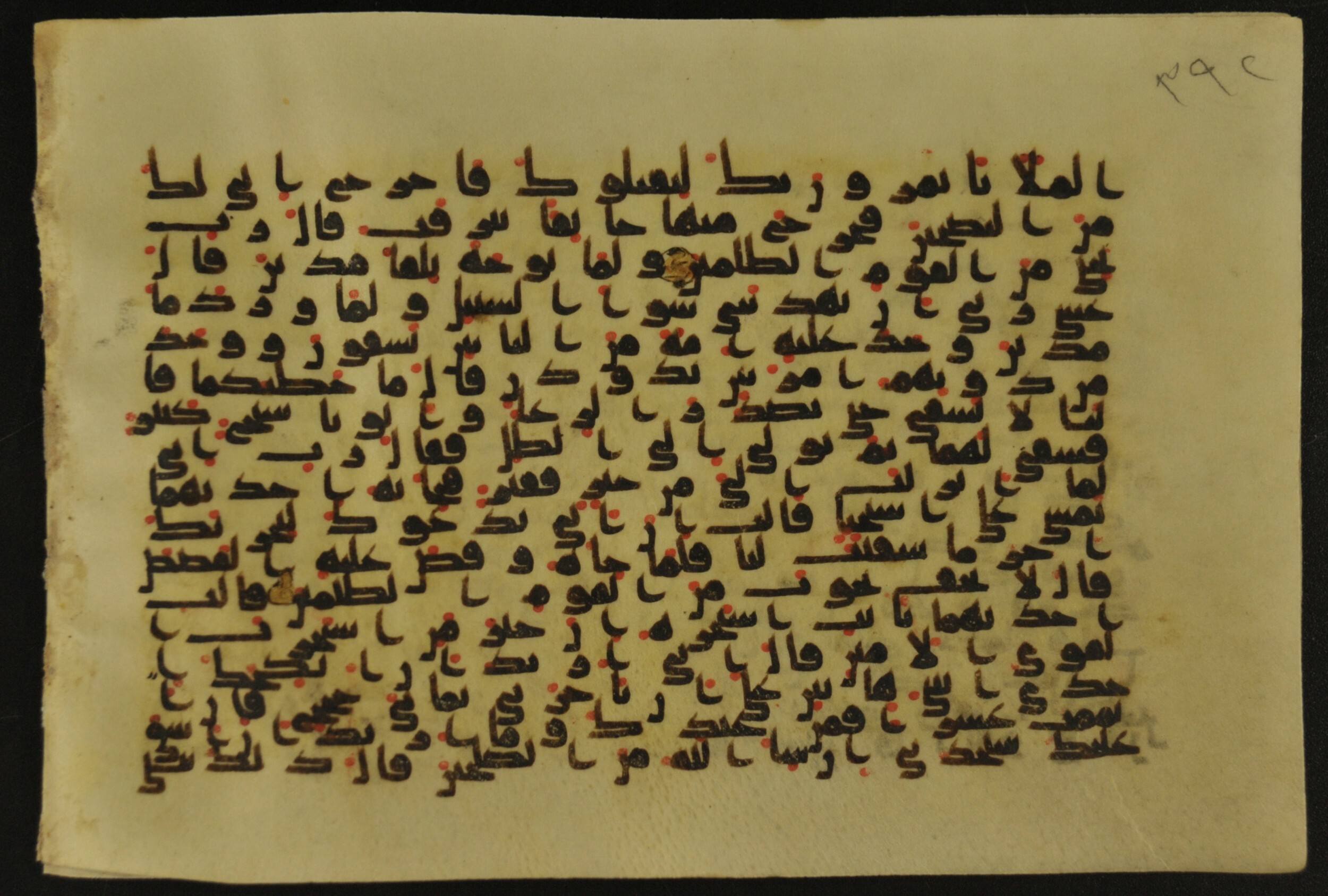 Muṣḥaf of Najaf Ashraf (Codex 1 of Imām ʿAlī Library), in kūfī B.II, D.IV, and post-classical kūfī script, showing Surah 28:23 from Mid 7th to Mid 9th Century AD found in Unknown, currently housed at Imām ʿAlī Library (المكتبة الروضة الحيدرية), Najaf, Iraq