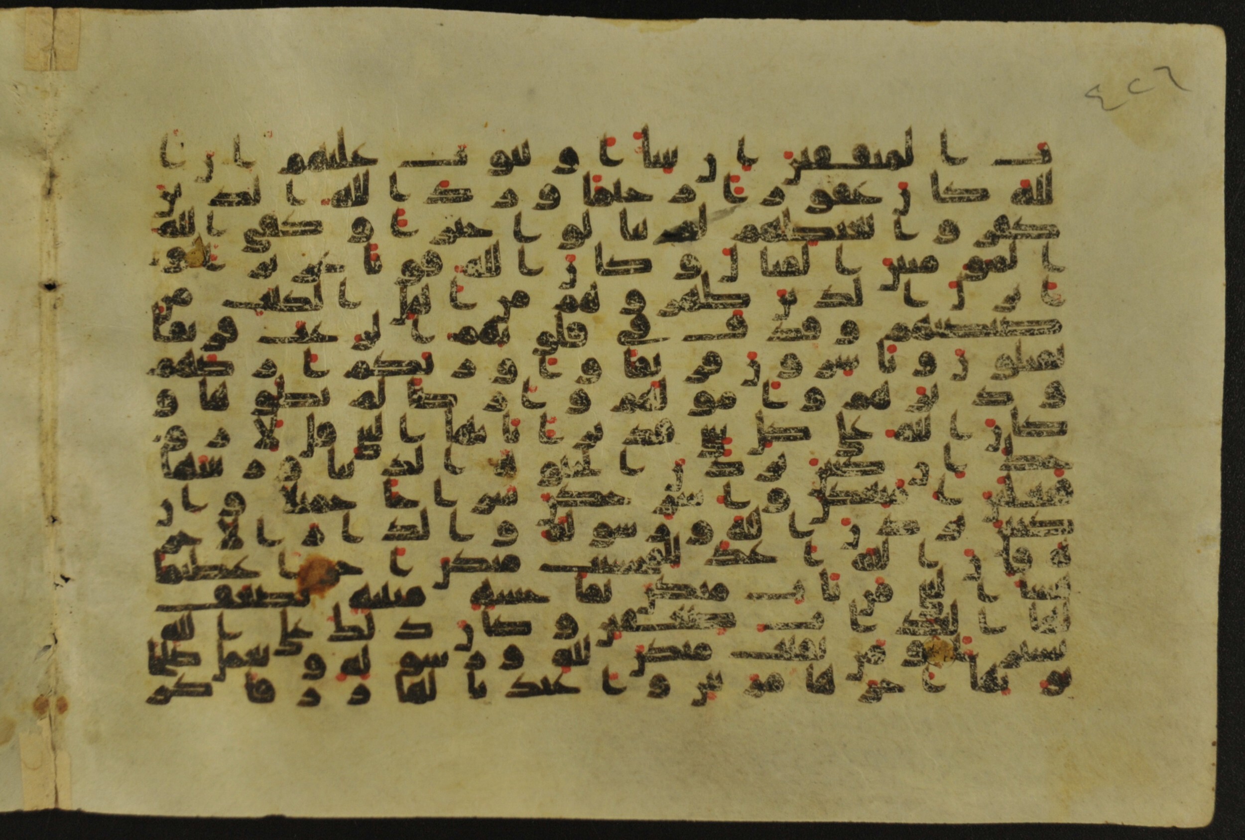 Muṣḥaf of Najaf Ashraf (Codex 1 of Imām ʿAlī Library), in kūfī B.II, D.IV, and post-classical kūfī script, showing Surah 33:29 from Mid 7th to Mid 9th Century AD found in Unknown, currently housed at Imām ʿAlī Library (المكتبة الروضة الحيدرية), Najaf, Iraq