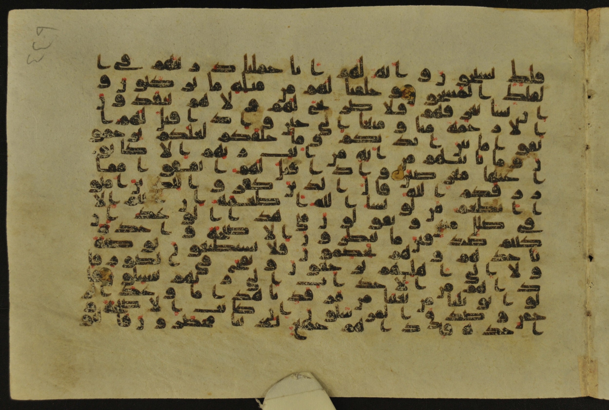Muṣḥaf of Najaf Ashraf (Codex 1 of Imām ʿAlī Library), in kūfī B.II, D.IV, and post-classical kūfī script, showing Surah 36:49 from Mid 7th to Mid 9th Century AD found in Unknown, currently housed at Imām ʿAlī Library (المكتبة الروضة الحيدرية), Najaf, Iraq