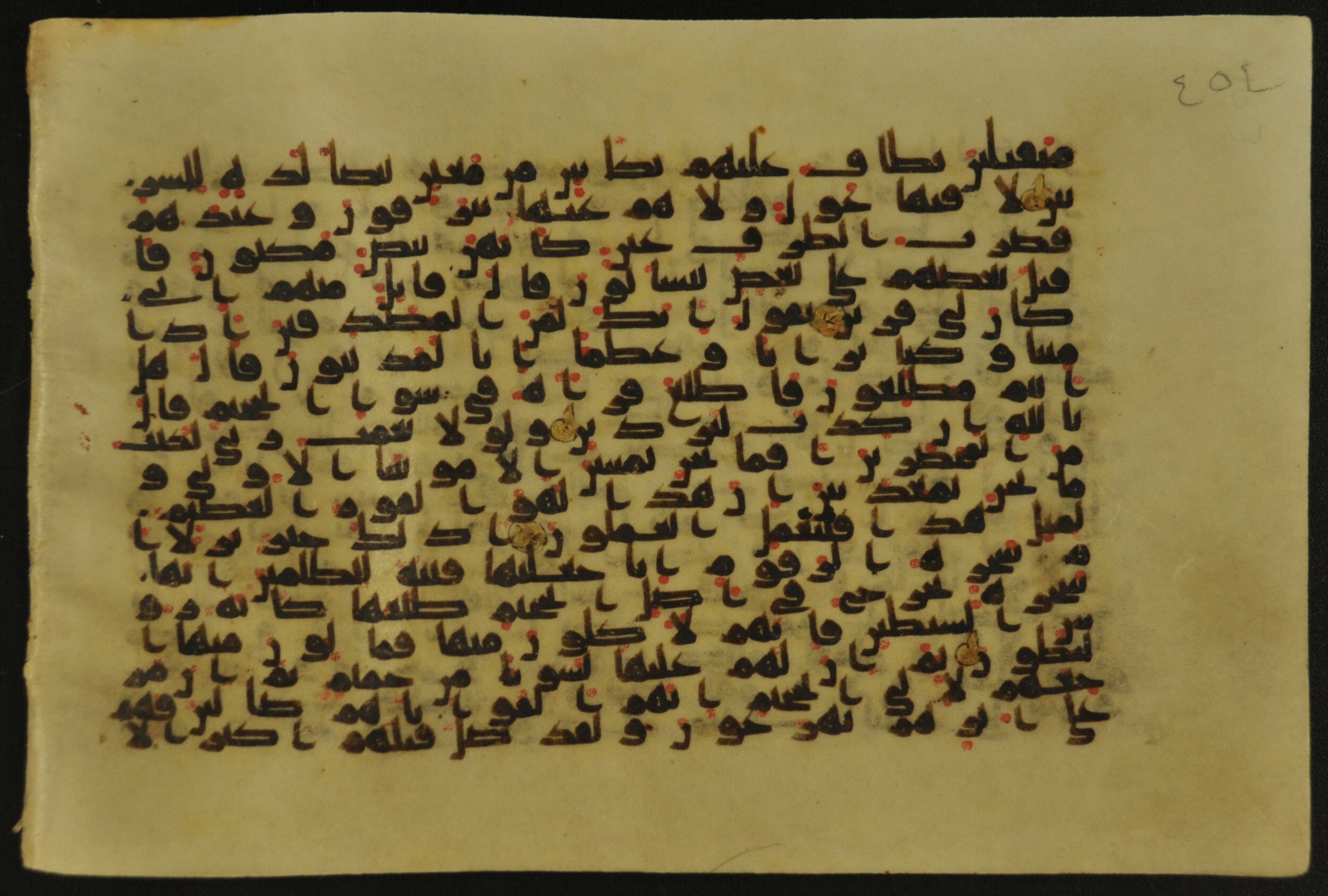 Muṣḥaf of Najaf Ashraf (Codex 1 of Imām ʿAlī Library), in kūfī B.II, D.IV, and post-classical kūfī script, showing Surah 37:49 from Mid 7th to Mid 9th Century AD found in Unknown, currently housed at Imām ʿAlī Library (المكتبة الروضة الحيدرية), Najaf, Iraq