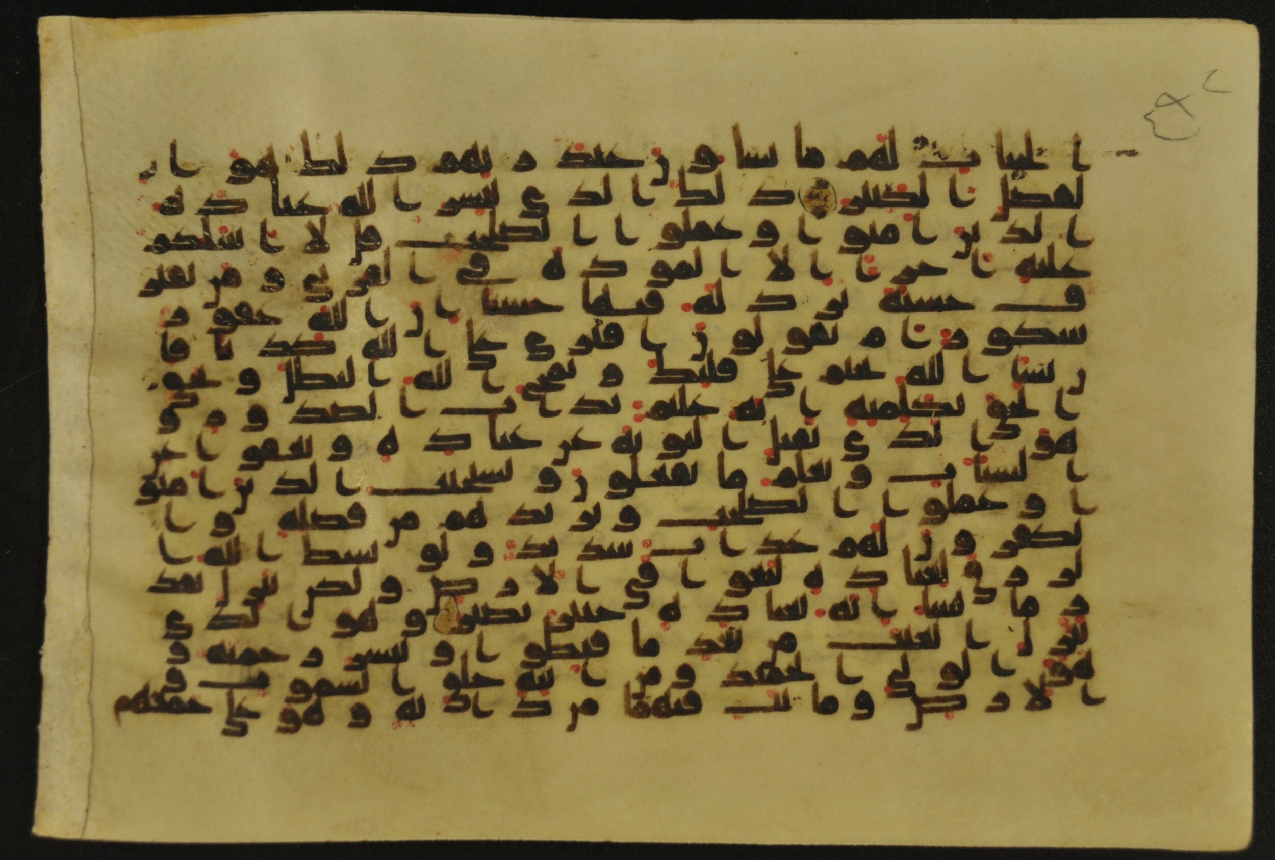 Muṣḥaf of Najaf Ashraf (Codex 1 of Imām ʿAlī Library) (Scan 1), in kūfī B.II, D.IV, and post-classical kūfī script, showing Surah 42:29 from Mid 7th to Mid 9th Century AD found in Unknown, currently housed at Imām ʿAlī Library (المكتبة الروضة الحيدرية), Najaf, Iraq