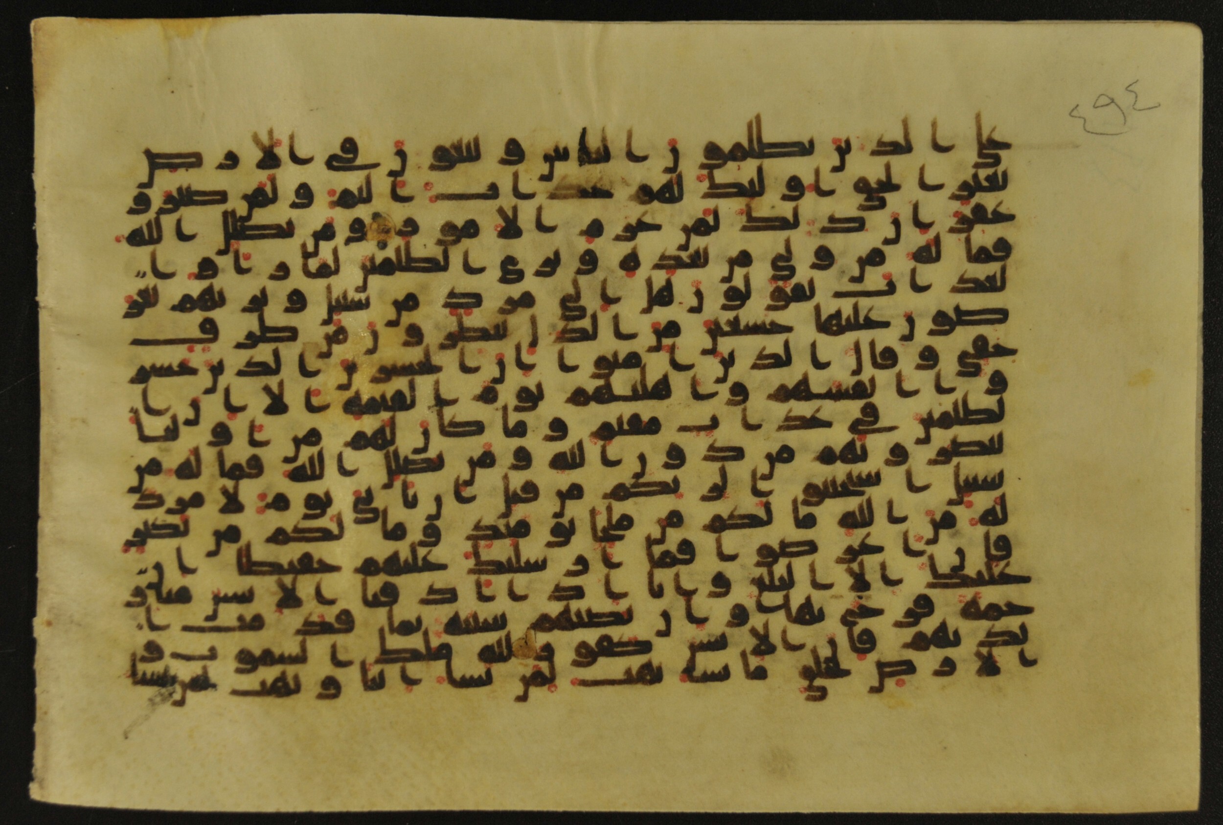 Muṣḥaf of Najaf Ashraf (Codex 1 of Imām ʿAlī Library) (Scan 1), in kūfī B.II, D.IV, and post-classical kūfī script, showing Surah 42:49 from Mid 7th to Mid 9th Century AD found in Unknown, currently housed at Imām ʿAlī Library (المكتبة الروضة الحيدرية), Najaf, Iraq