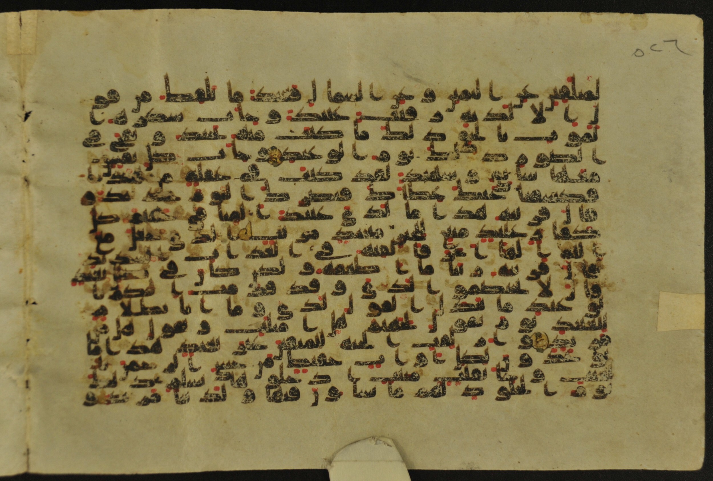 Muṣḥaf of Najaf Ashraf (Codex 1 of Imām ʿAlī Library), in kūfī B.II, D.IV, and post-classical kūfī script, showing Surah 50:21 from Mid 7th to Mid 9th Century AD found in Unknown, currently housed at Imām ʿAlī Library (المكتبة الروضة الحيدرية), Najaf, Iraq