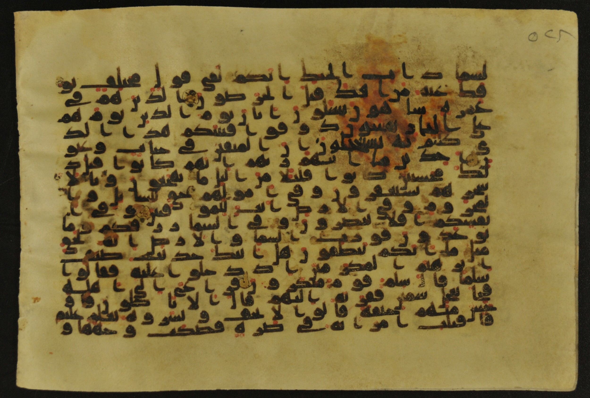 Muṣḥaf of Najaf Ashraf (Codex 1 of Imām ʿAlī Library), in kūfī B.II, D.IV, and post-classical kūfī script, showing Surah 51:13 from Mid 7th to Mid 9th Century AD found in Unknown, currently housed at Imām ʿAlī Library (المكتبة الروضة الحيدرية), Najaf, Iraq