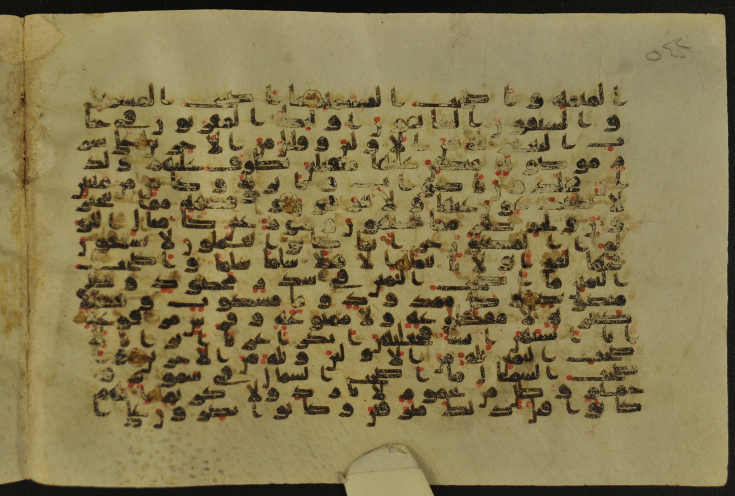 Muṣḥaf of Najaf Ashraf (Codex 1 of Imām ʿAlī Library), in kūfī B.II, D.IV, and post-classical kūfī script, showing Surah 56:21 from Mid 7th to Mid 9th Century AD found in Unknown, currently housed at Imām ʿAlī Library (المكتبة الروضة الحيدرية), Najaf, Iraq