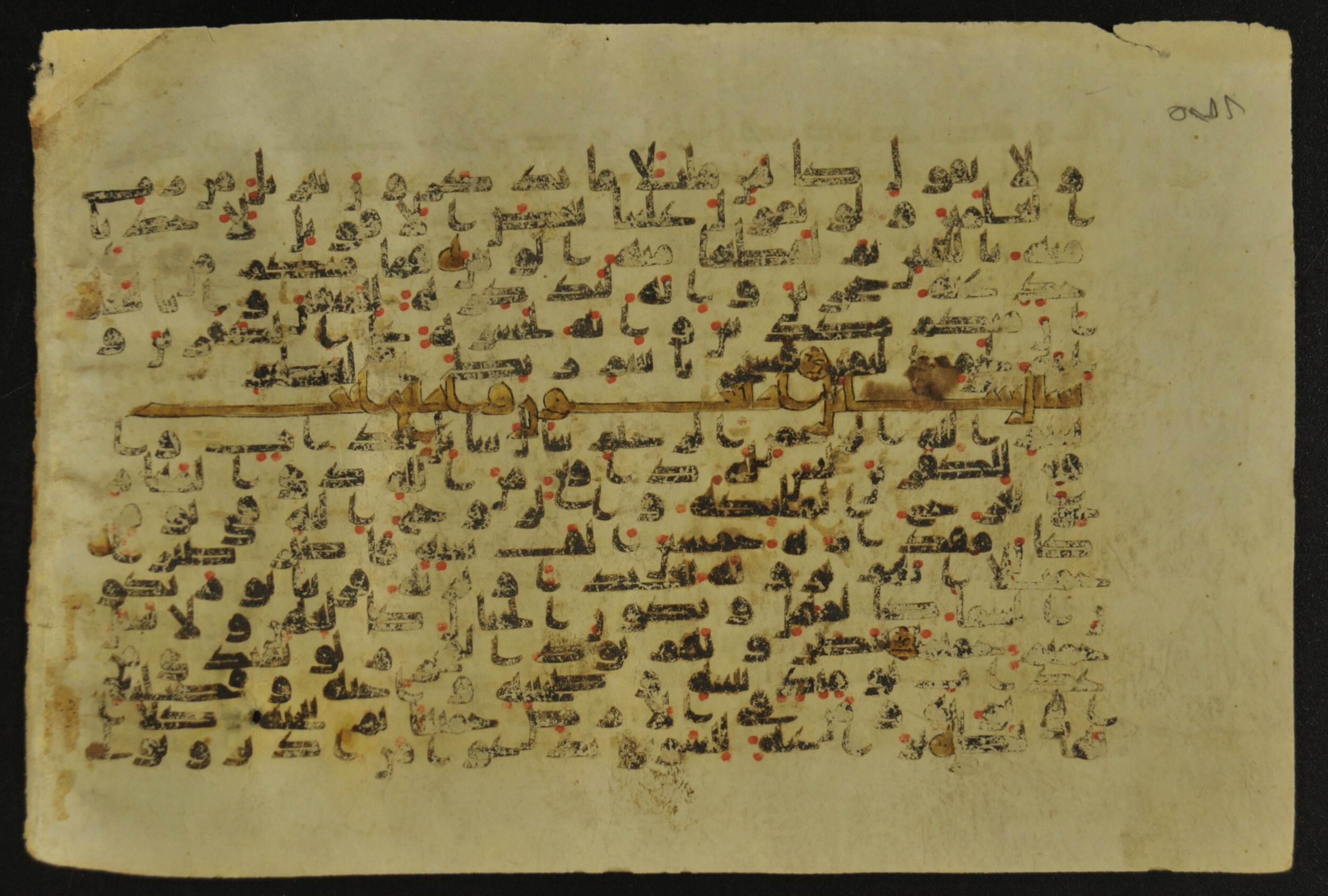 Muṣḥaf of Najaf Ashraf (Codex 1 of Imām ʿAlī Library), in kūfī B.II, D.IV, and post-classical kūfī script, showing Surah 70:13 from Mid 7th to Mid 9th Century AD found in Unknown, currently housed at Imām ʿAlī Library (المكتبة الروضة الحيدرية), Najaf, Iraq