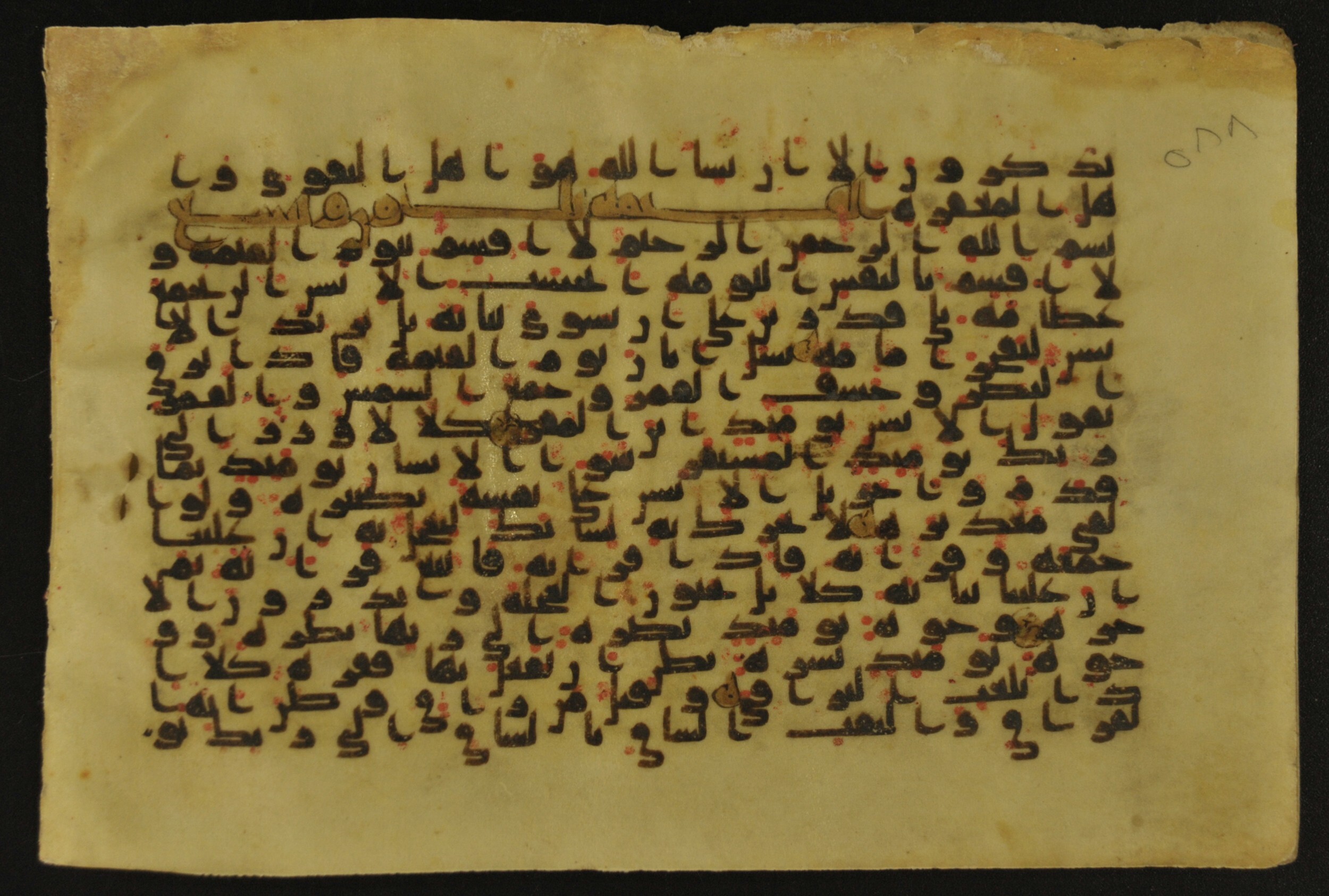 Muṣḥaf of Najaf Ashraf (Codex 1 of Imām ʿAlī Library) (Scan 1), in kūfī B.II, D.IV, and post-classical kūfī script, showing Surah 75:21 from Mid 7th to Mid 9th Century AD found in Unknown, currently housed at Imām ʿAlī Library (المكتبة الروضة الحيدرية), Najaf, Iraq
