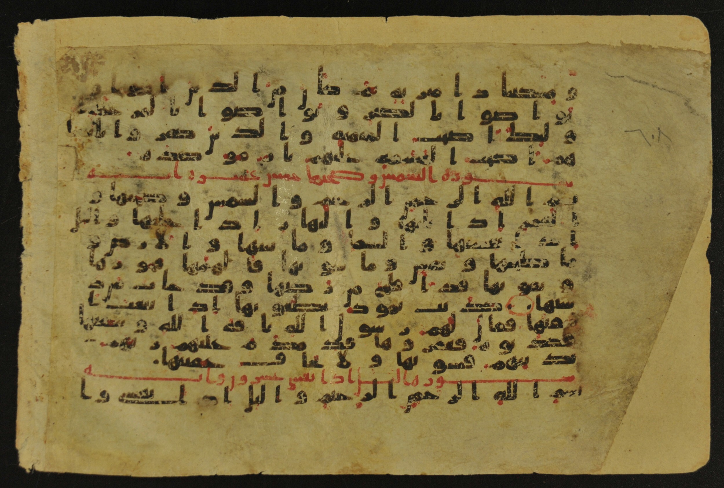 Muṣḥaf of Najaf Ashraf (Codex 1 of Imām ʿAlī Library), in kūfī B.II, D.IV, and post-classical kūfī script, showing Surah 91:13 from Mid 7th to Mid 9th Century AD found in Unknown, currently housed at Imām ʿAlī Library (المكتبة الروضة الحيدرية), Najaf, Iraq