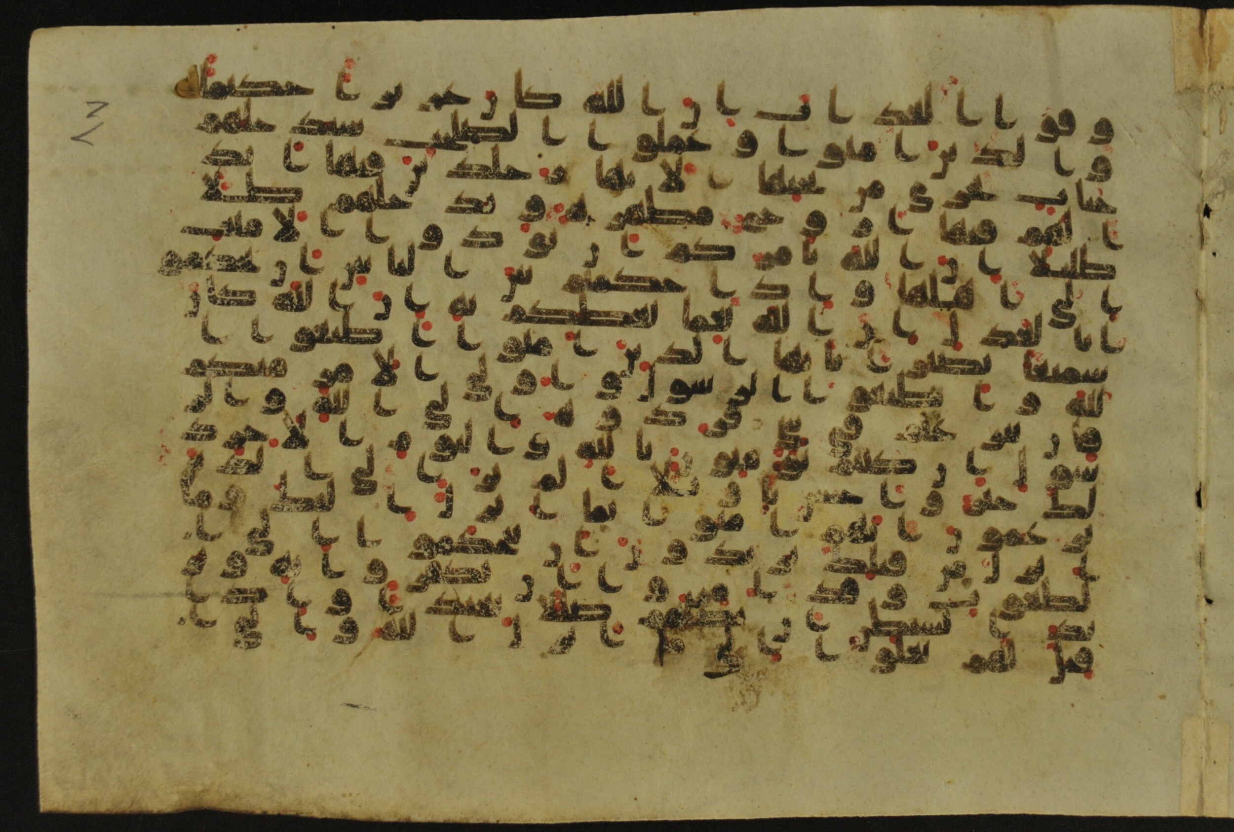 Muṣḥaf of Najaf Ashraf (Codex 1 of Imām ʿAlī Library), in kūfī B.II, D.IV, and post-classical kūfī script, showing Surah 4:59 from Mid 7th to Mid 9th Century AD found in Unknown, currently housed at Imām ʿAlī Library (المكتبة الروضة الحيدرية), Najaf, Iraq
