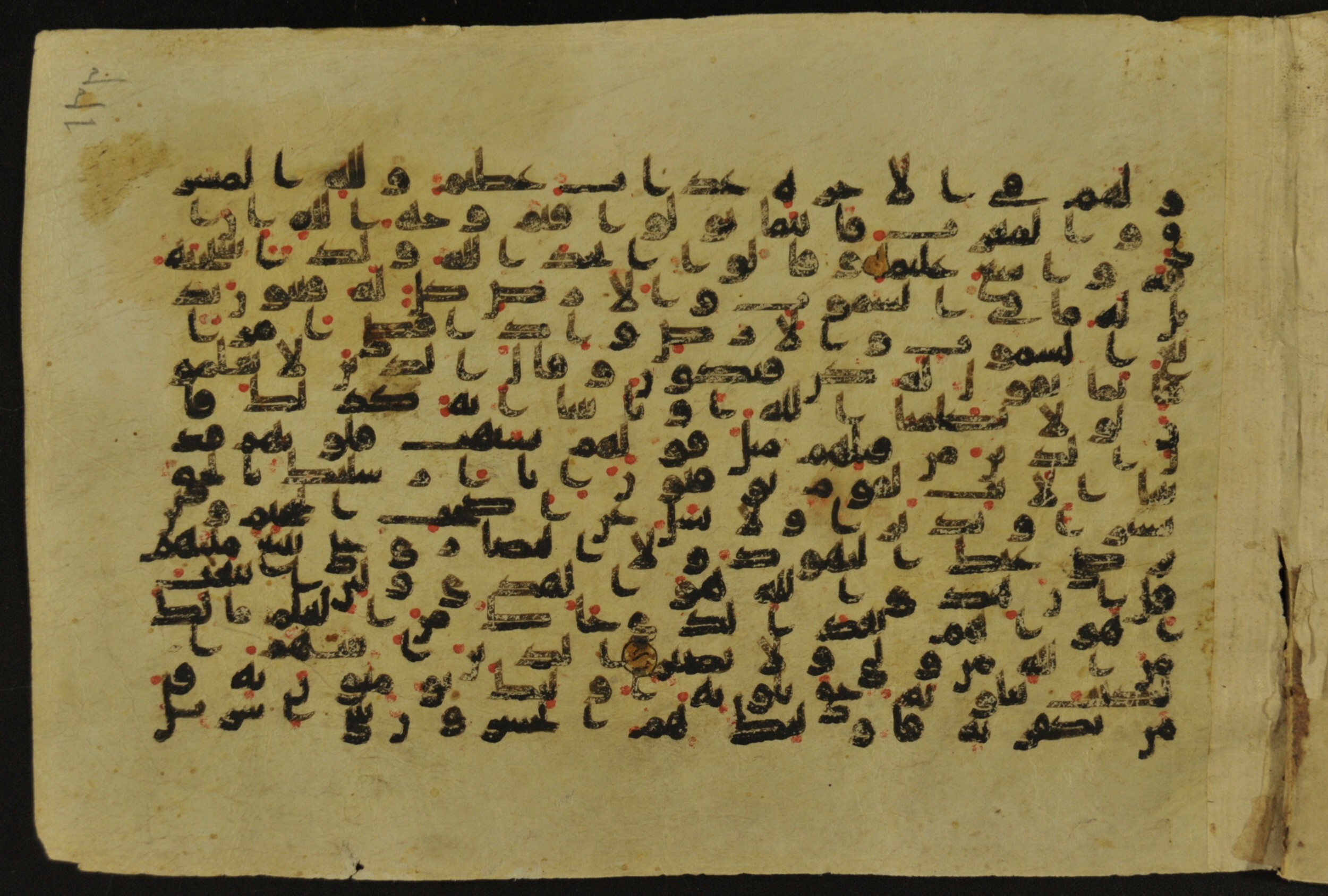 Muṣḥaf of Najaf Ashraf (Codex 1 of Imām ʿAlī Library), in kūfī B.II, D.IV, and post-classical kūfī script, showing Surah 2:116 from Mid 7th to Mid 9th Century AD found in Unknown, currently housed at Imām ʿAlī Library (المكتبة الروضة الحيدرية), Najaf, Iraq