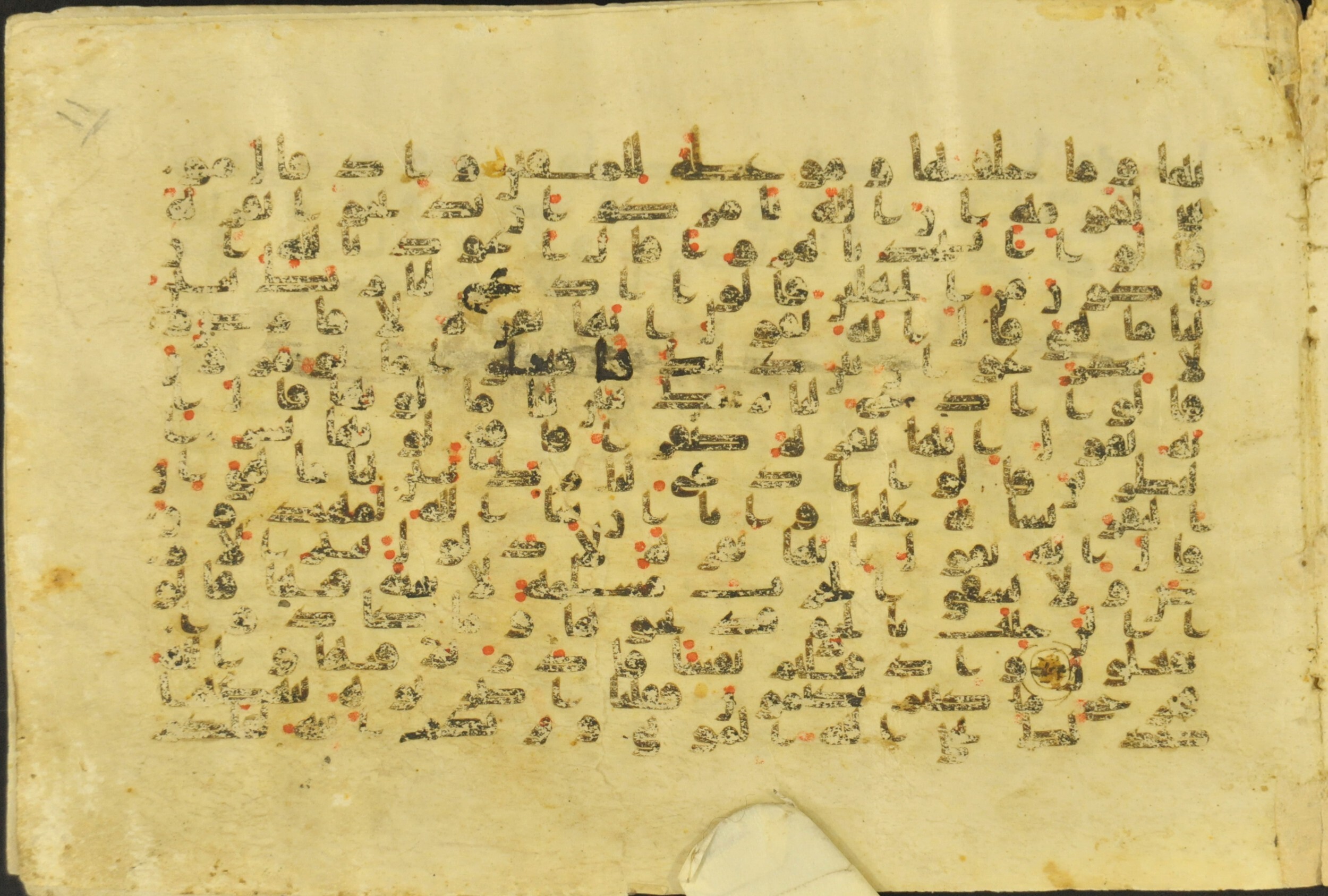 Muṣḥaf of Najaf Ashraf (Codex 1 of Imām ʿAlī Library), in kūfī B.II, D.IV, and post-classical kūfī script, showing Surah 2:71 from Mid 7th to Mid 9th Century AD found in Unknown, currently housed at Imām ʿAlī Library (المكتبة الروضة الحيدرية), Najaf, Iraq