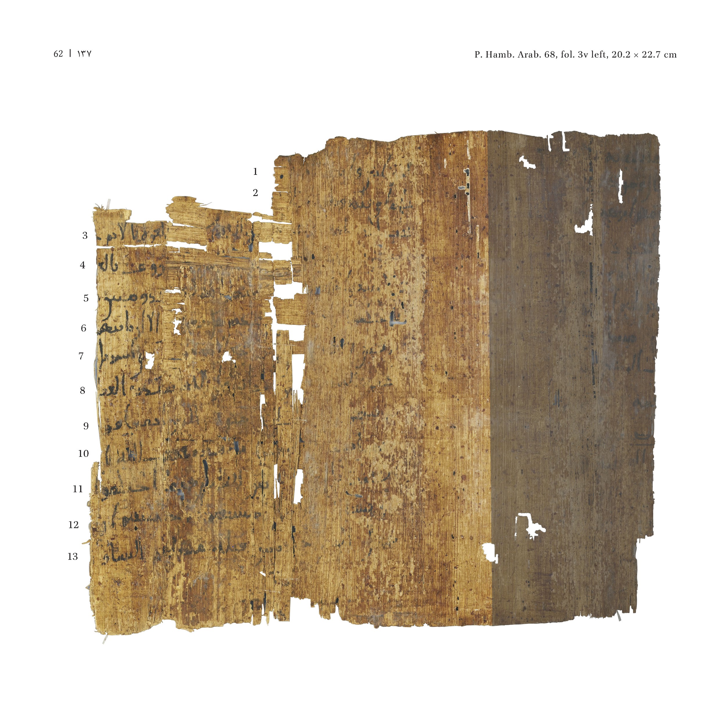 P. Hamb. Arab. 68 (Scan 1), in ḥiǧāzī IV script, showing Surah 2:205 from Mid 7th to Mid 8th Century AD found in Egypt, currently housed at Staats- und Universitätsbibliothek Hamburg, Hamburg, Germany