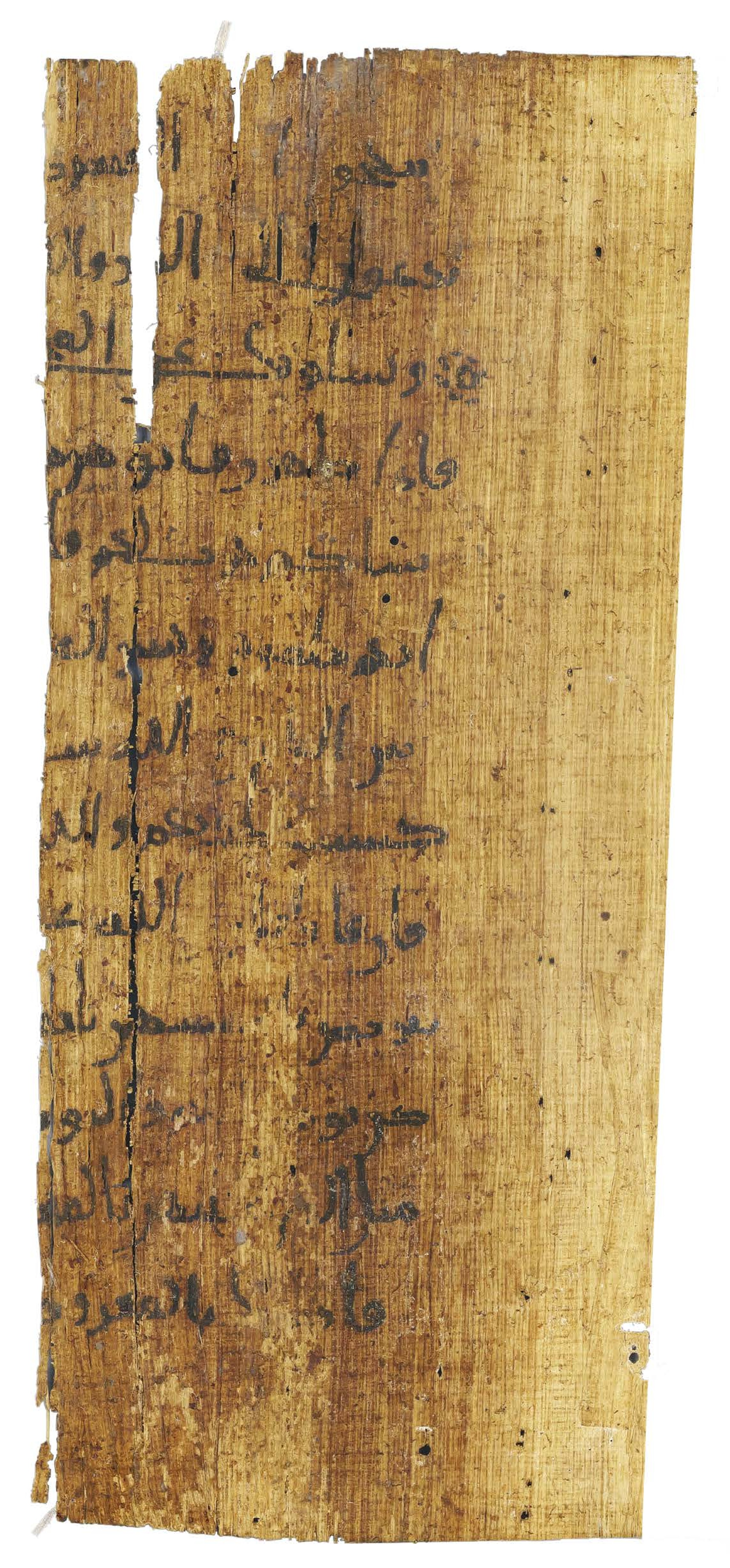 P. Hamb. Arab. 68 (Scan 2), in ḥiǧāzī IV script, showing Surah 2:229 from Mid 7th to Mid 8th Century AD found in Egypt, currently housed at Staats- und Universitätsbibliothek Hamburg, Hamburg, Germany