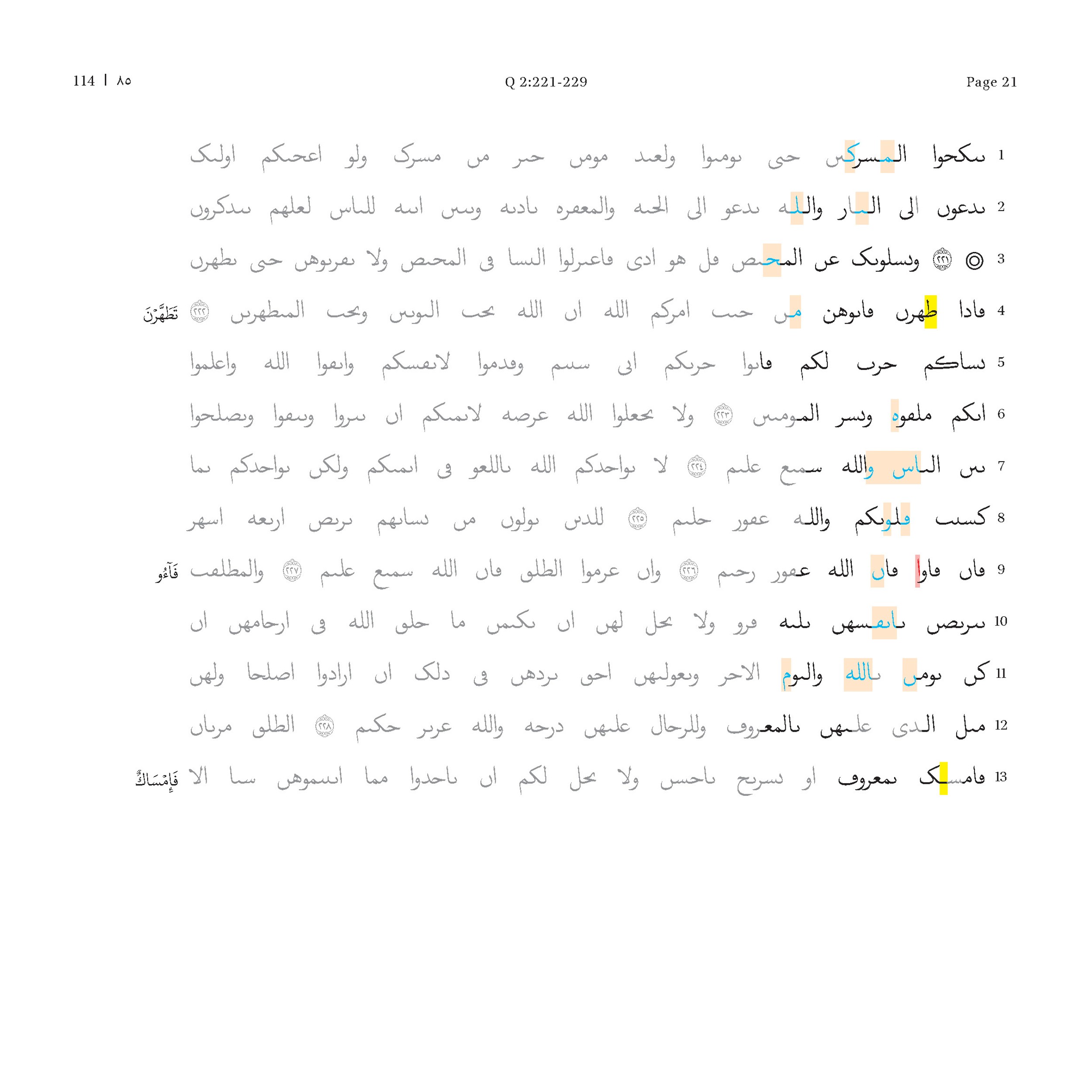 P. Hamb. Arab. 68 (Scan 3), in ḥiǧāzī IV script, showing Surah 2:229 from Mid 7th to Mid 8th Century AD found in Egypt, currently housed at Staats- und Universitätsbibliothek Hamburg, Hamburg, Germany