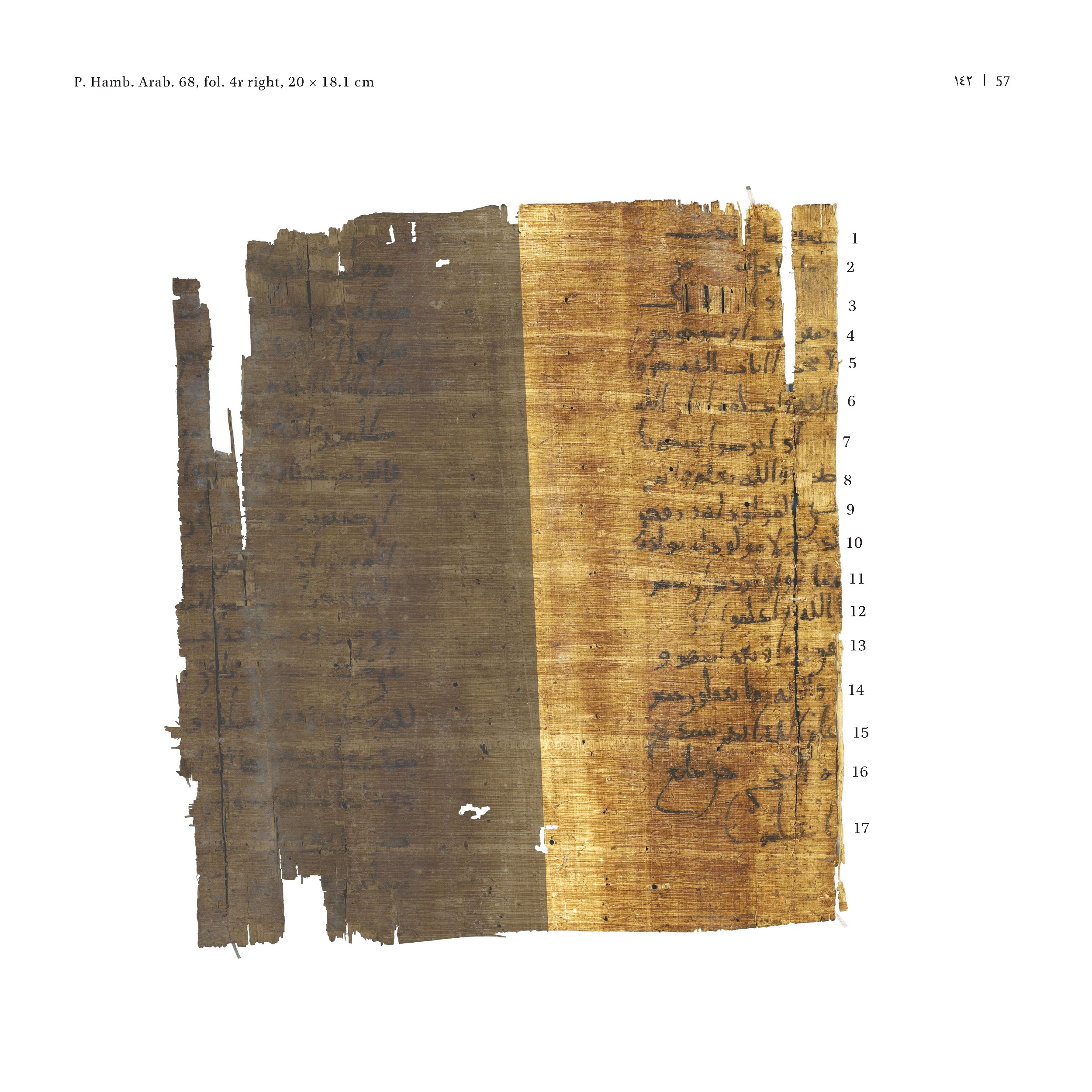 P. Hamb. Arab. 68 (Scan 1), in ḥiǧāzī IV script, showing Surah 2:232 from Mid 7th to Mid 8th Century AD found in Egypt, currently housed at Staats- und Universitätsbibliothek Hamburg, Hamburg, Germany