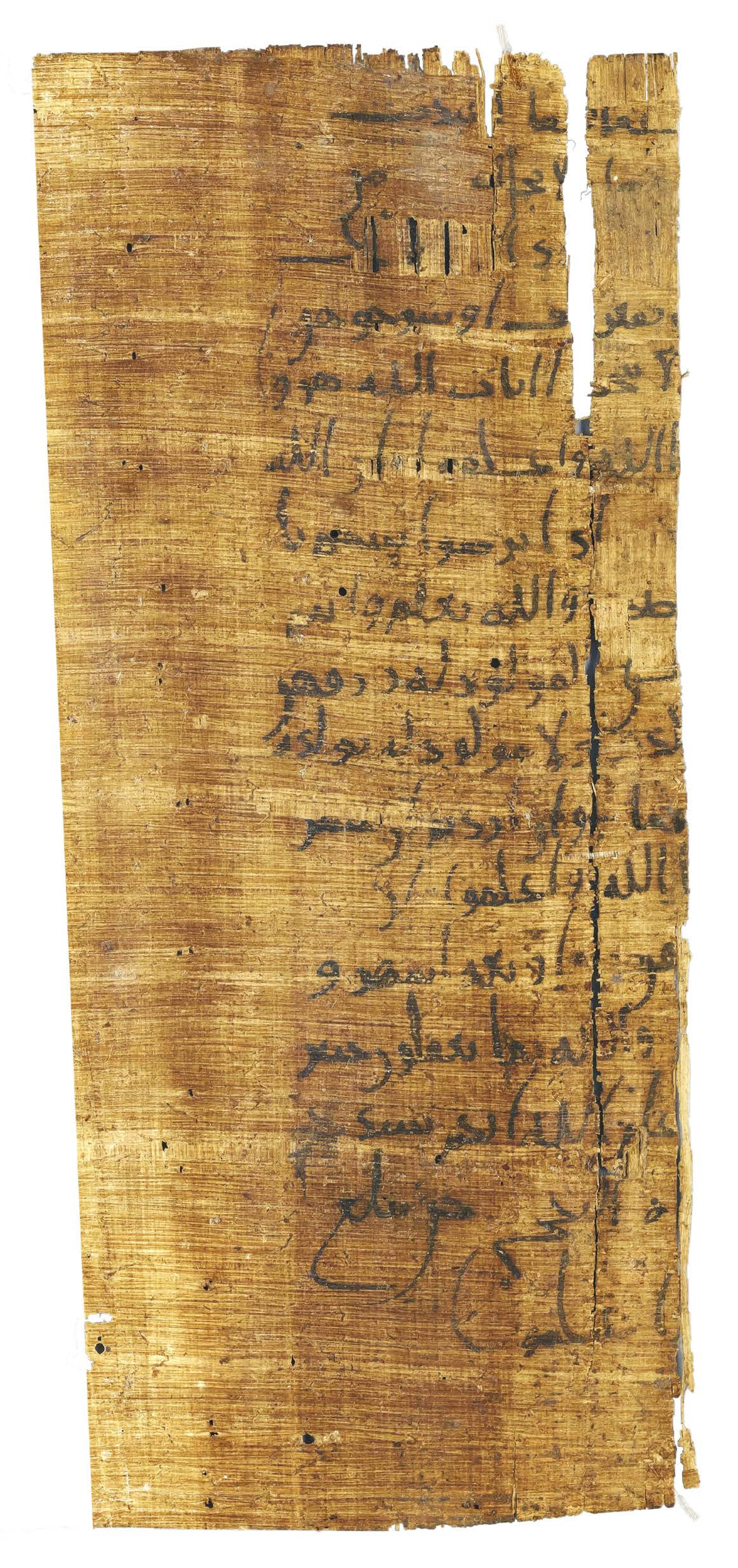 P. Hamb. Arab. 68 (Scan 2), in ḥiǧāzī IV script, showing Surah 2:232 from Mid 7th to Mid 8th Century AD found in Egypt, currently housed at Staats- und Universitätsbibliothek Hamburg, Hamburg, Germany