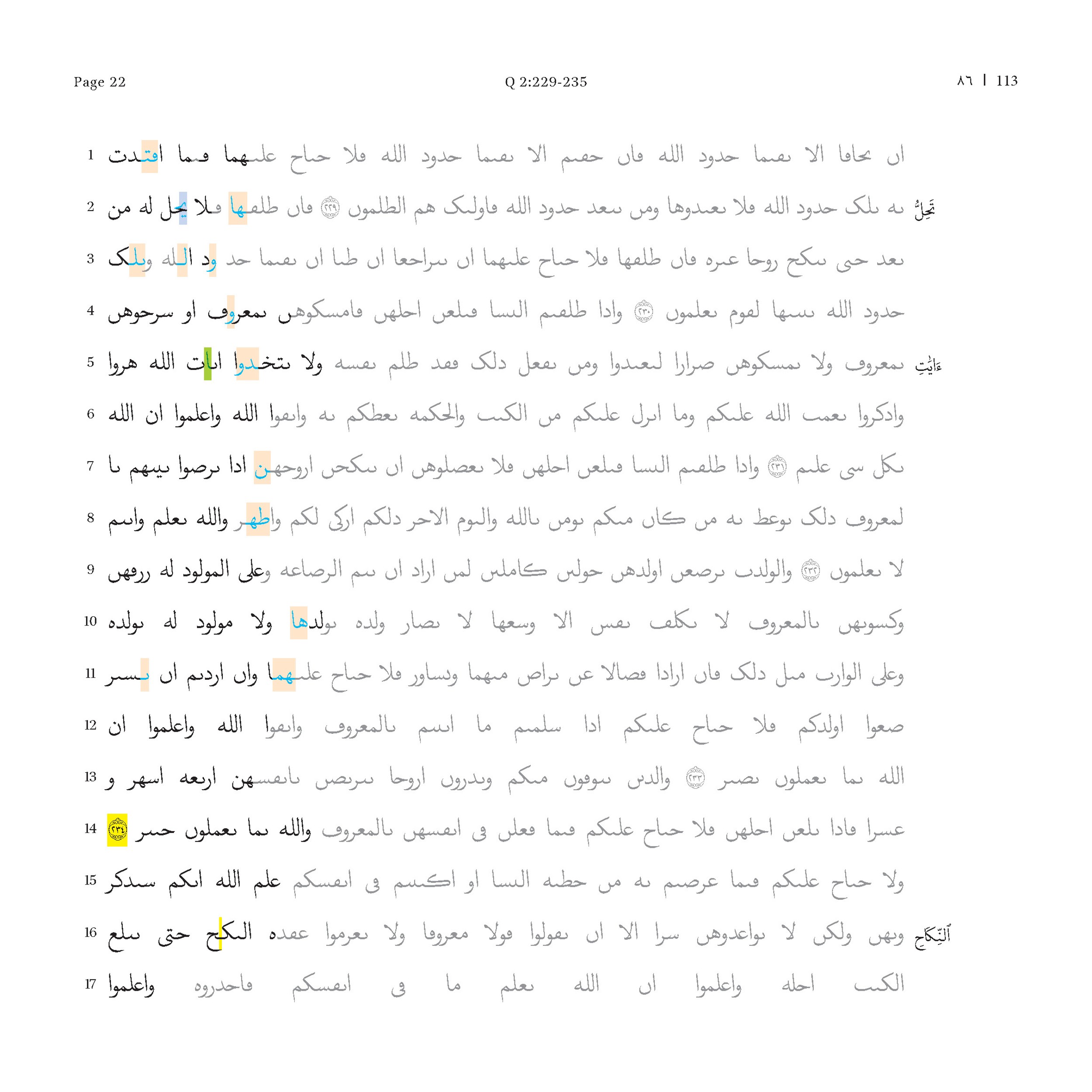P. Hamb. Arab. 68 (Scan 3), in ḥiǧāzī IV script, showing Surah 2:232 from Mid 7th to Mid 8th Century AD found in Egypt, currently housed at Staats- und Universitätsbibliothek Hamburg, Hamburg, Germany