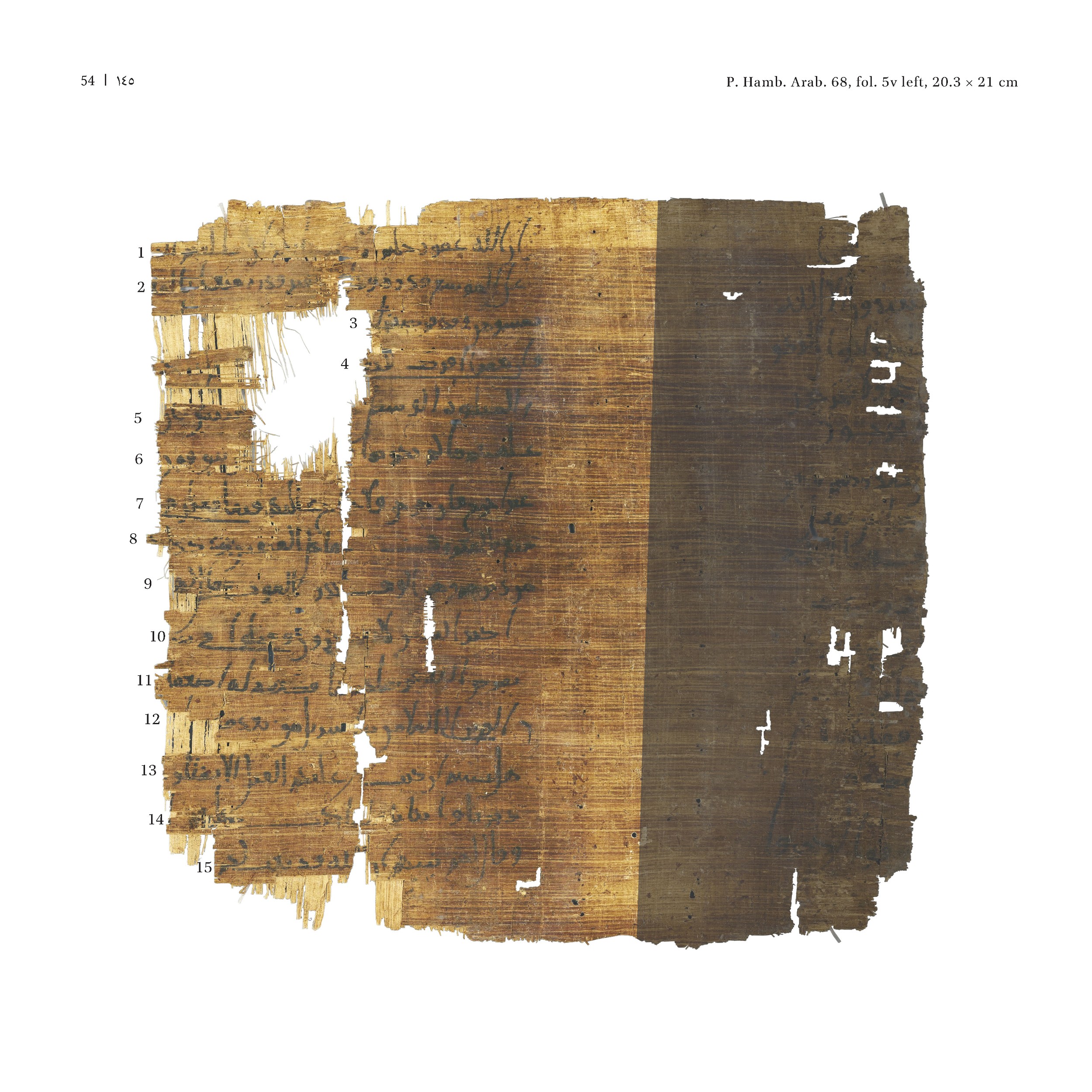 P. Hamb. Arab. 68 (Scan 1), in ḥiǧāzī IV script, showing Surah 2:239 from Mid 7th to Mid 8th Century AD found in Egypt, currently housed at Staats- und Universitätsbibliothek Hamburg, Hamburg, Germany