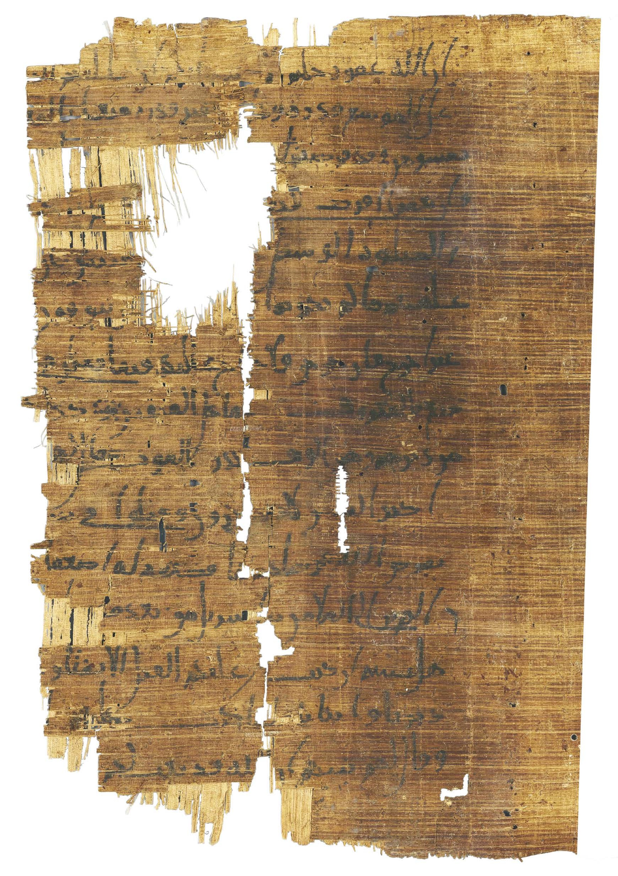 P. Hamb. Arab. 68 (Scan 2), in ḥiǧāzī IV script, showing Surah 2:239 from Mid 7th to Mid 8th Century AD found in Egypt, currently housed at Staats- und Universitätsbibliothek Hamburg, Hamburg, Germany
