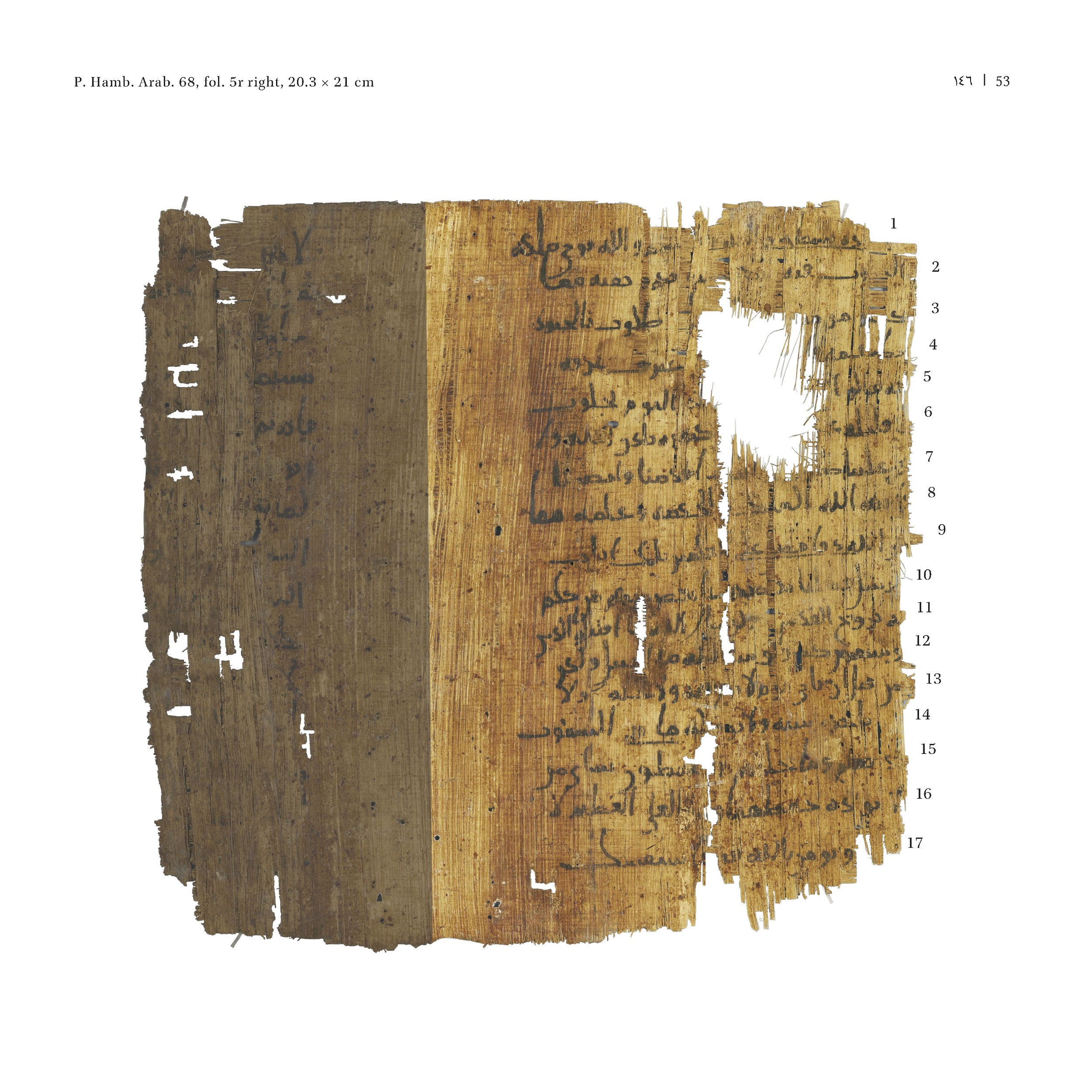 P. Hamb. Arab. 68 (Scan 1), in ḥiǧāzī IV script, showing Surah 2:249 from Mid 7th to Mid 8th Century AD found in Egypt, currently housed at Staats- und Universitätsbibliothek Hamburg, Hamburg, Germany