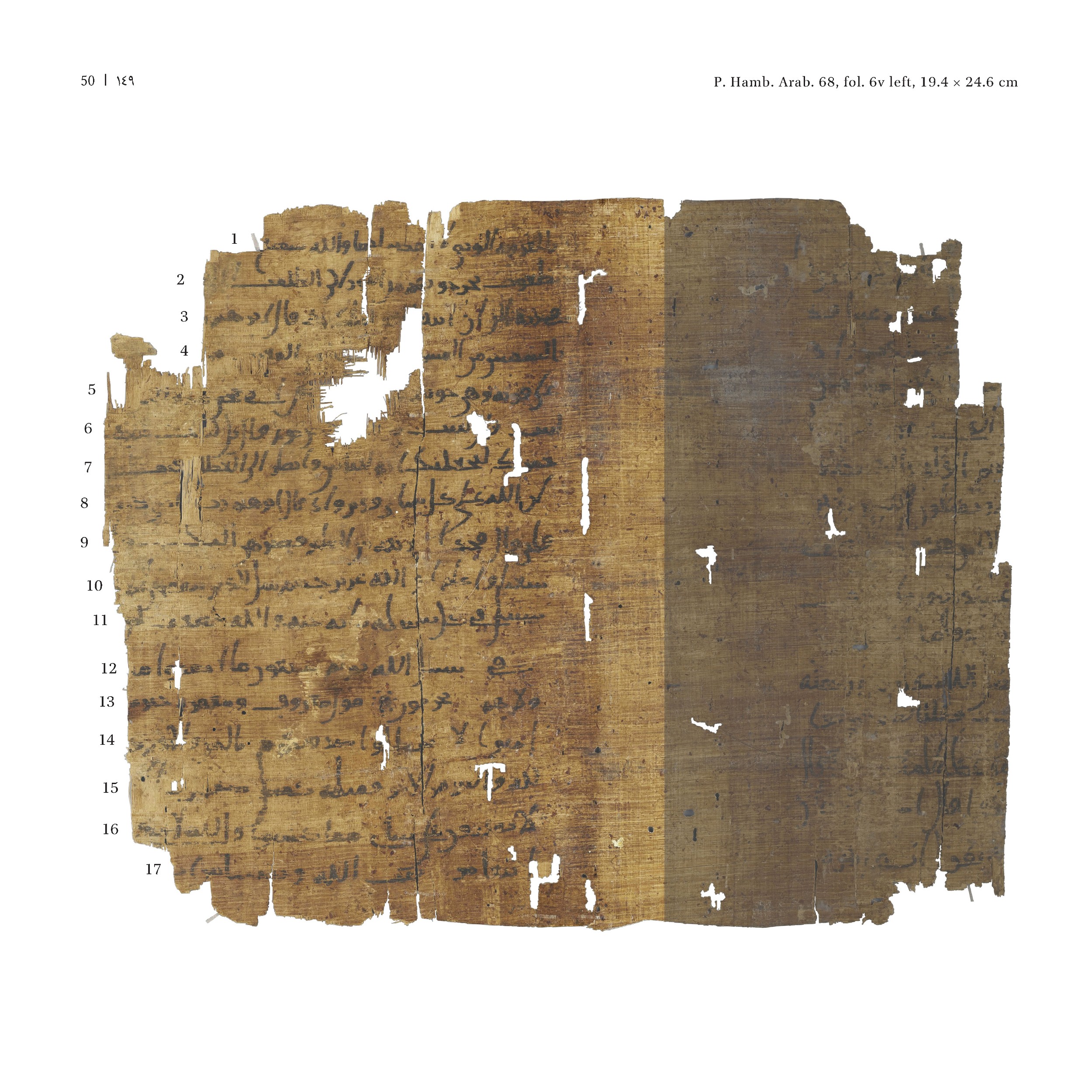 P. Hamb. Arab. 68 (Scan 1), in ḥiǧāzī IV script, showing Surah 2:264 from Mid 7th to Mid 8th Century AD found in Egypt, currently housed at Staats- und Universitätsbibliothek Hamburg, Hamburg, Germany