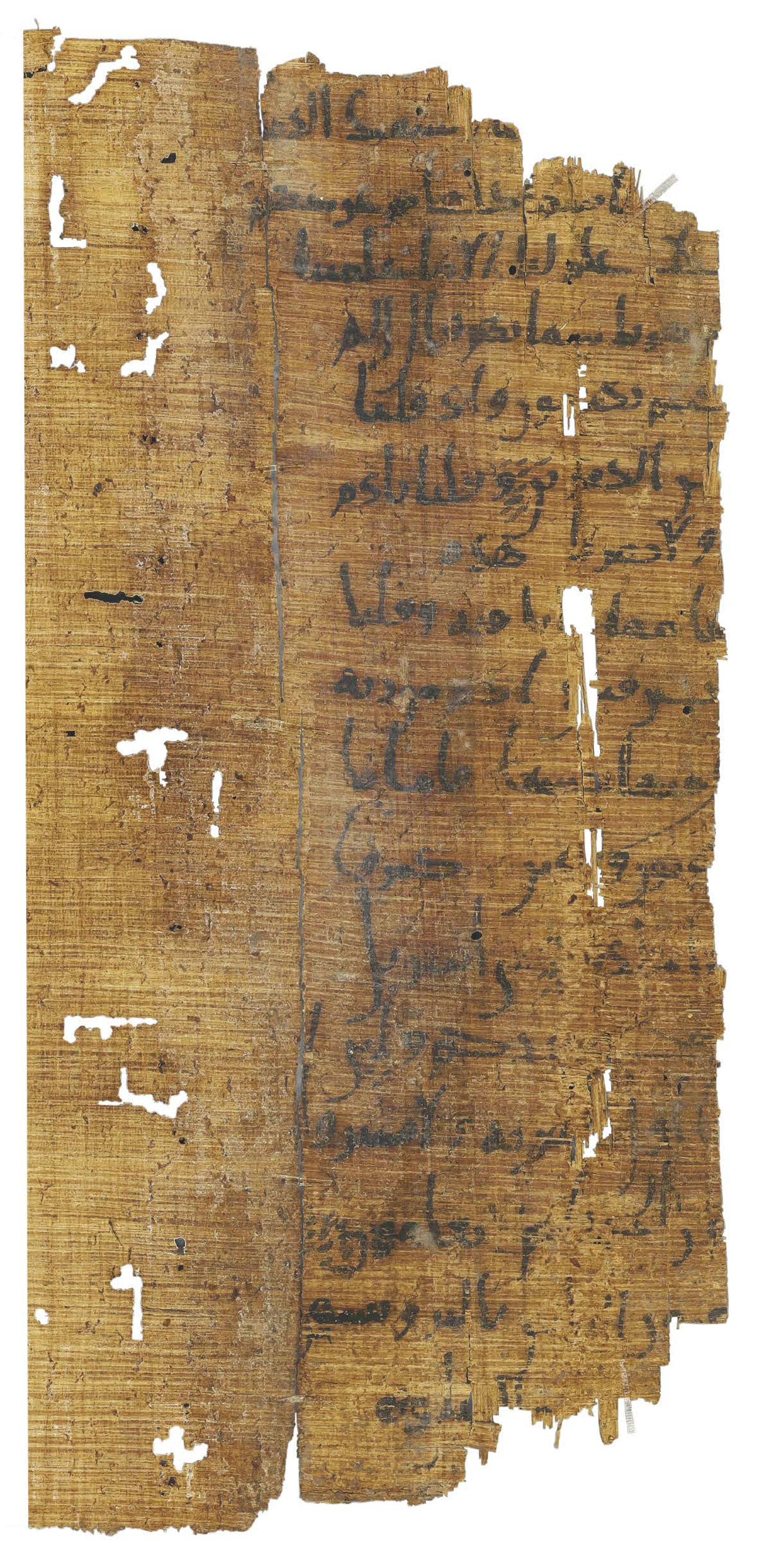 P. Hamb. Arab. 68 (Scan 1), in ḥiǧāzī IV script, showing Surah 2:44 from Mid 7th to Mid 8th Century AD found in Egypt, currently housed at Staats- und Universitätsbibliothek Hamburg, Hamburg, Germany